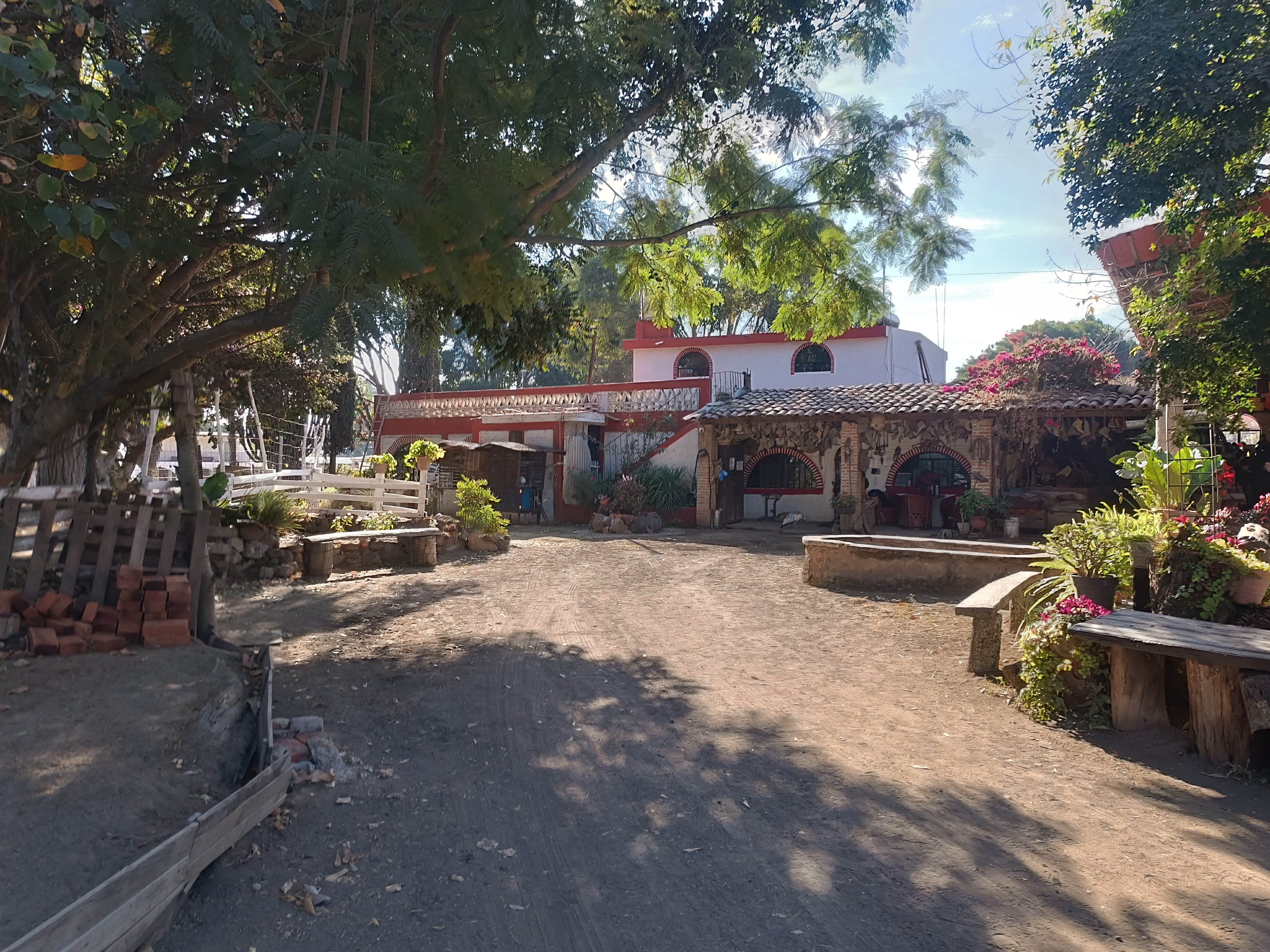 El Mesón de Colombo image 10