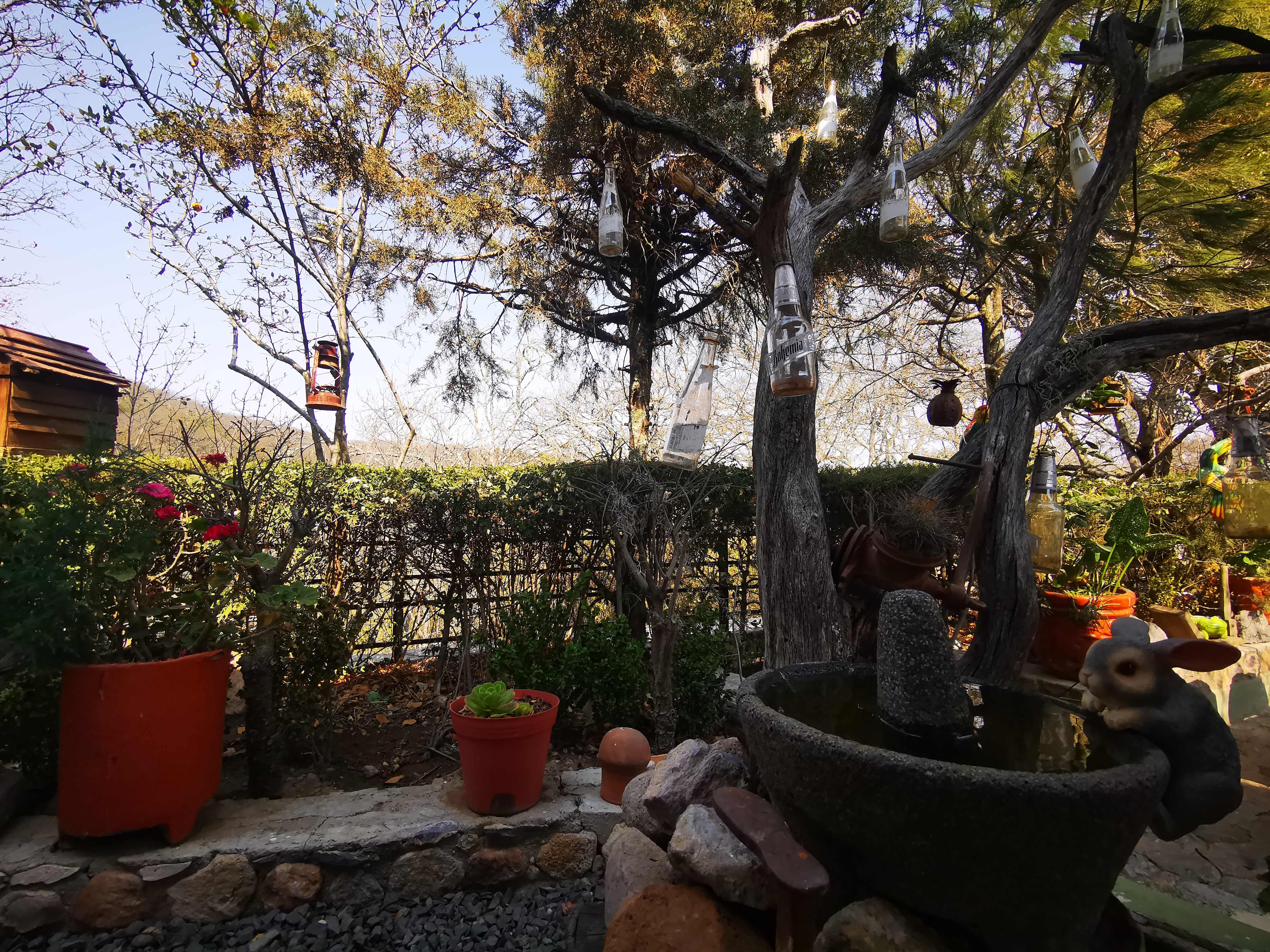 El Parador Sierra De Guanajuato image 6