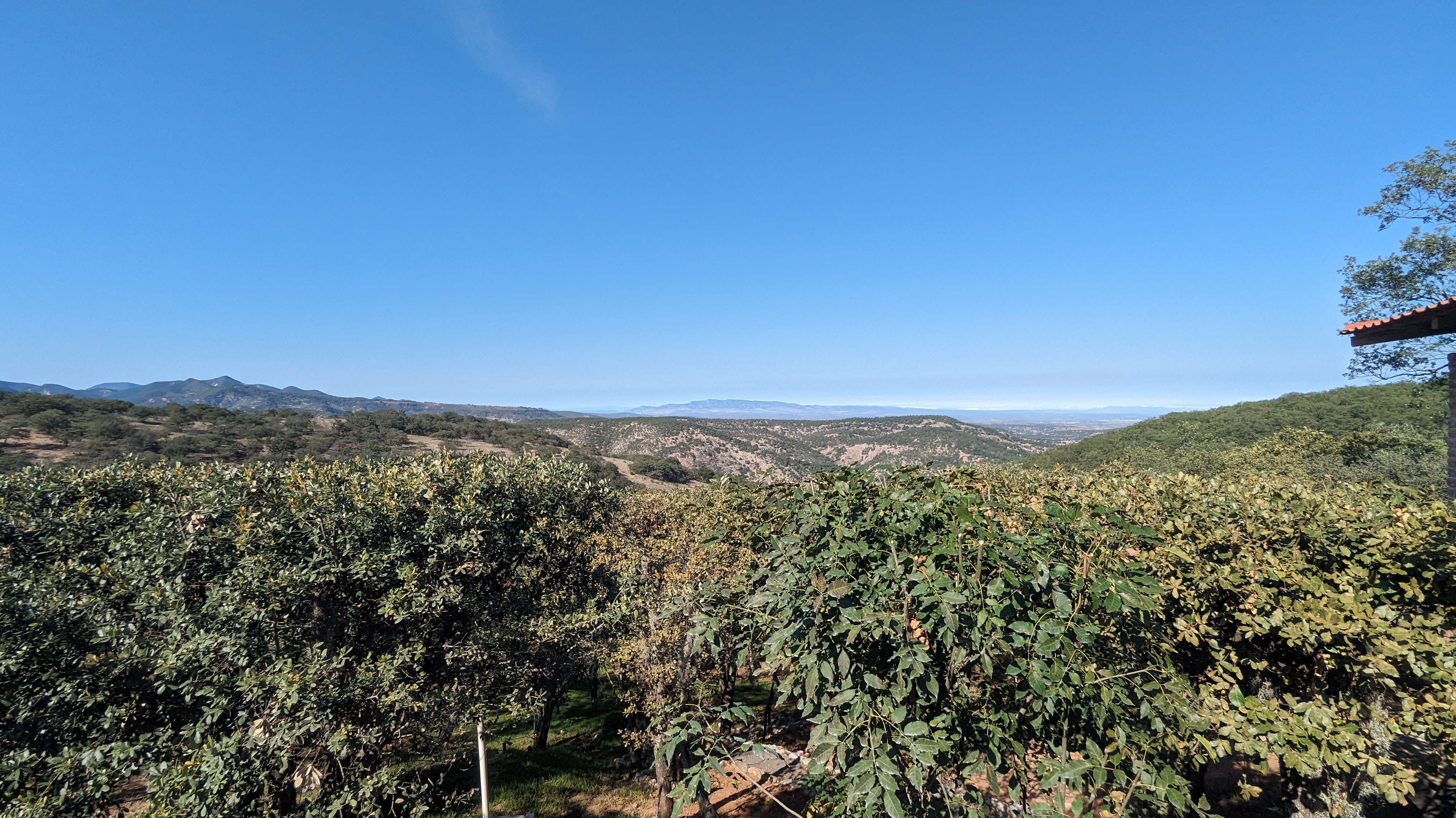 Terraza La Joya image 5