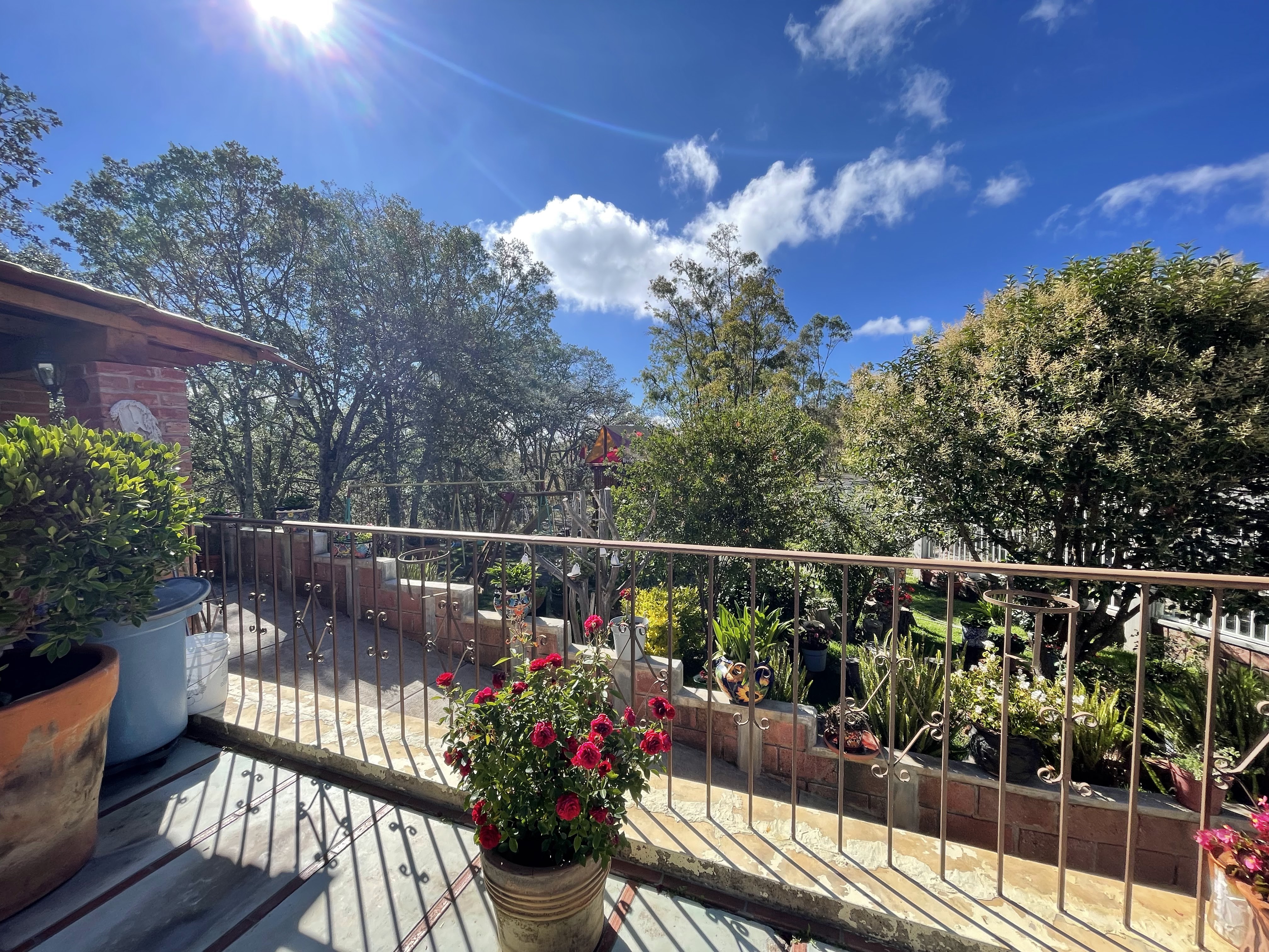 Terraza La Joya image 7