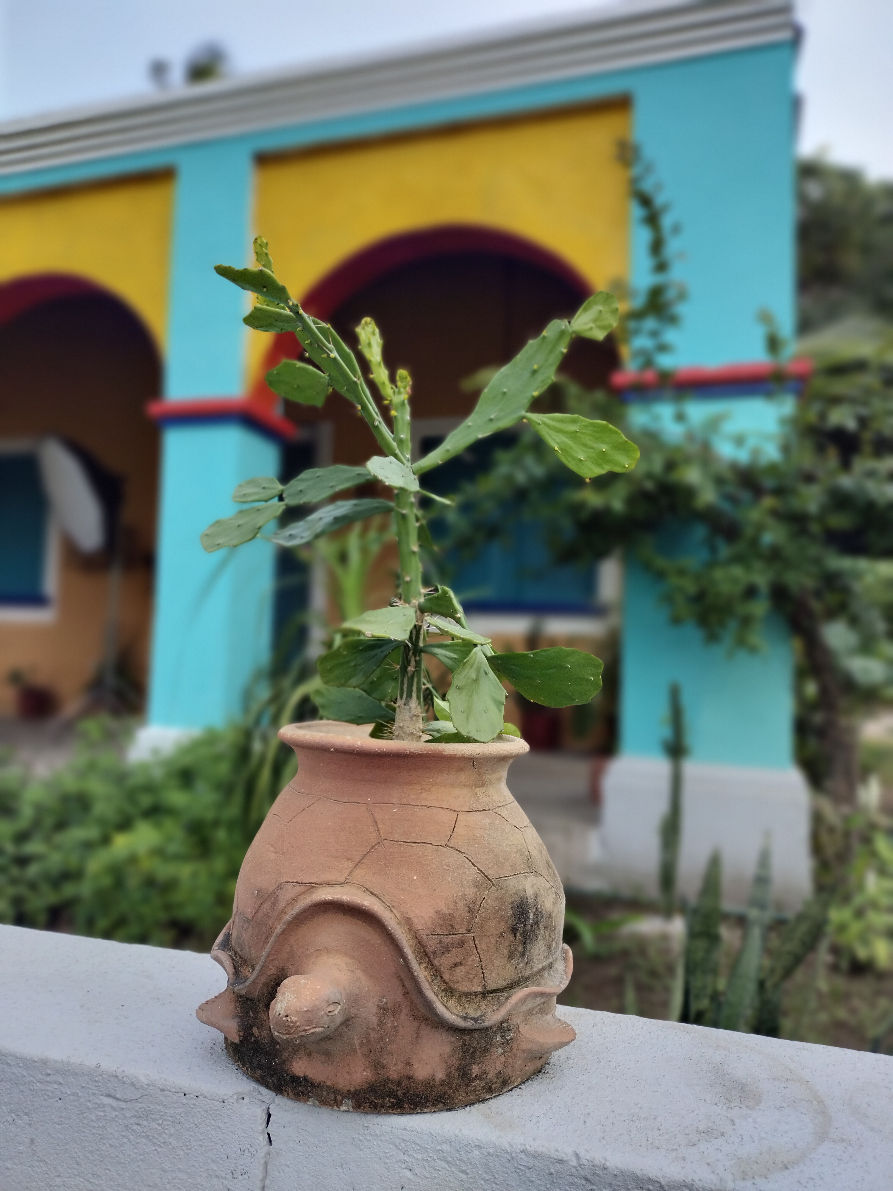 Restaurante Casona del Tapesco image 8