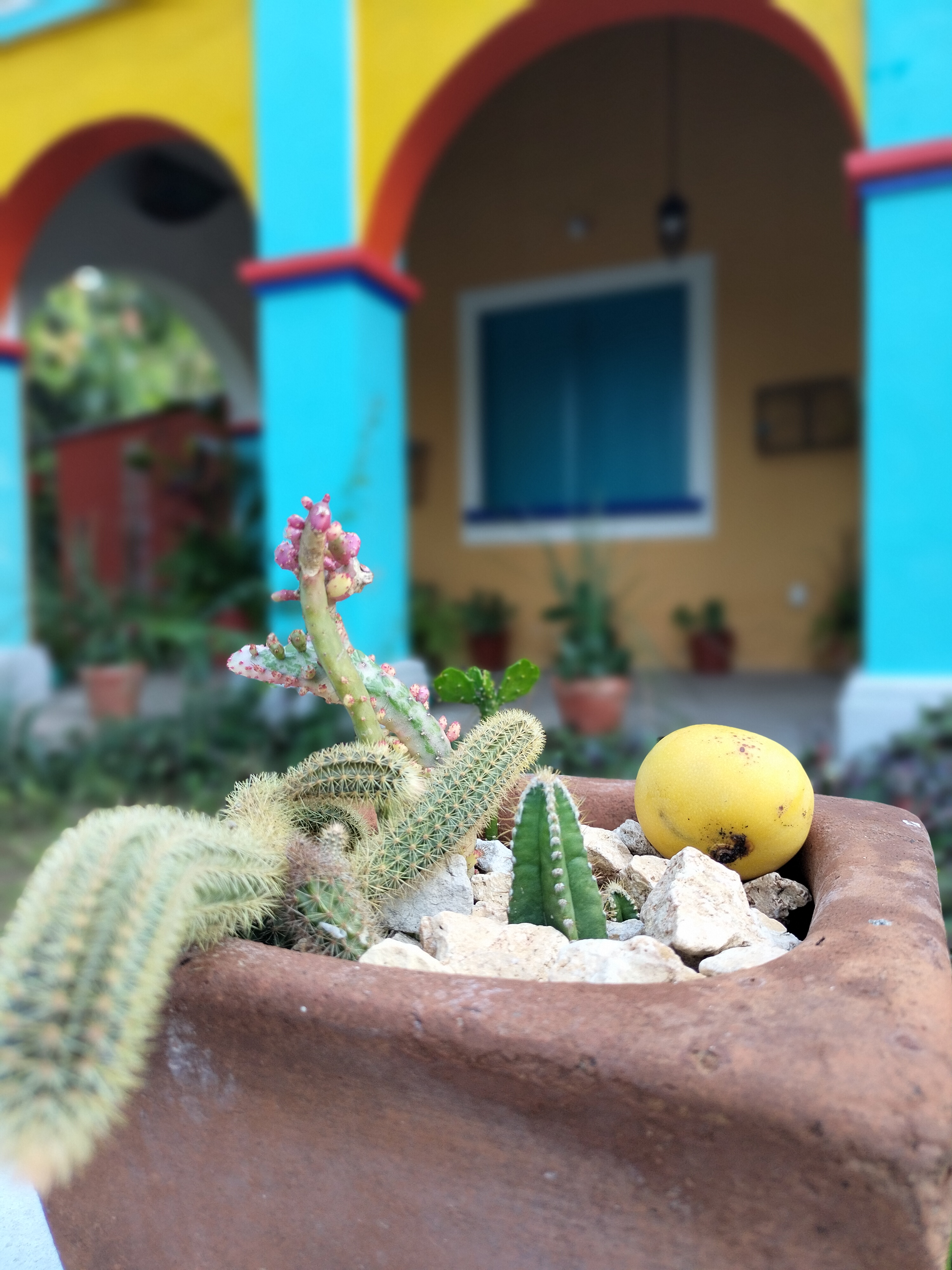 Restaurante Casona del Tapesco image 10