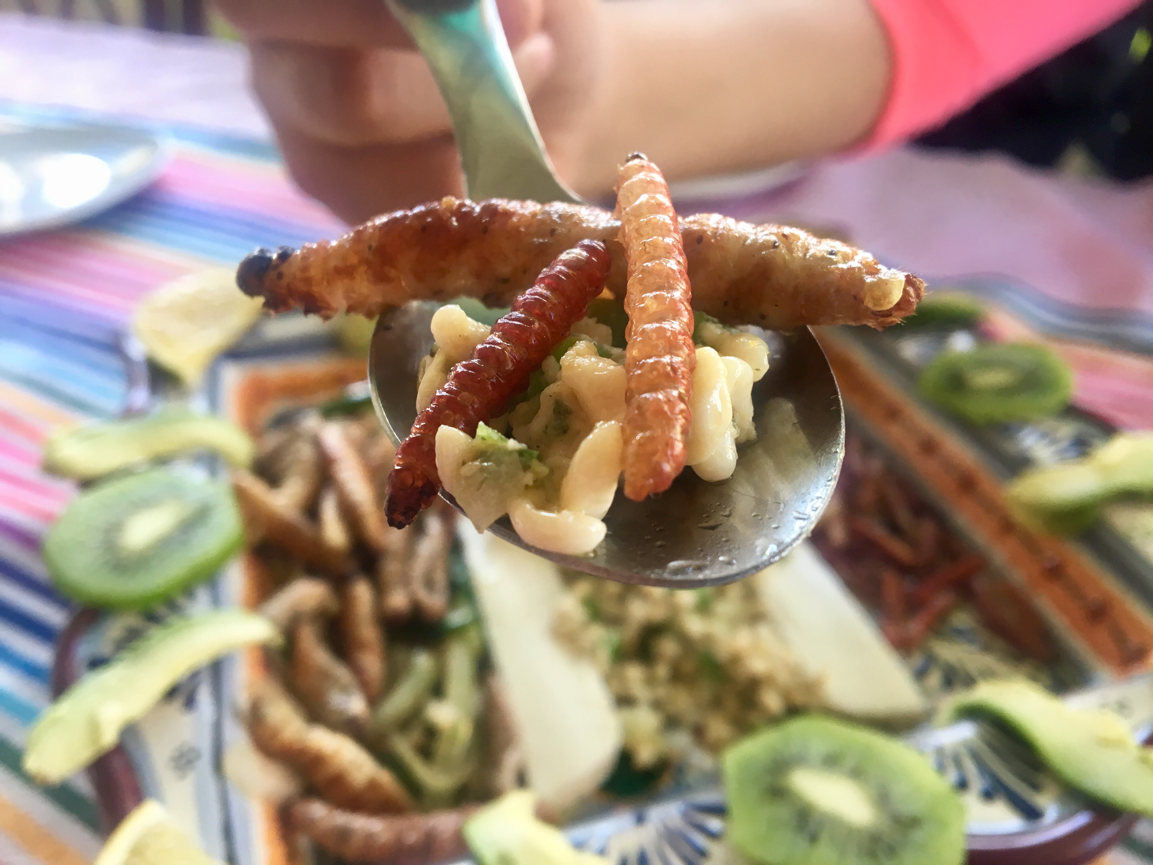 Escamol De Temporada image 8