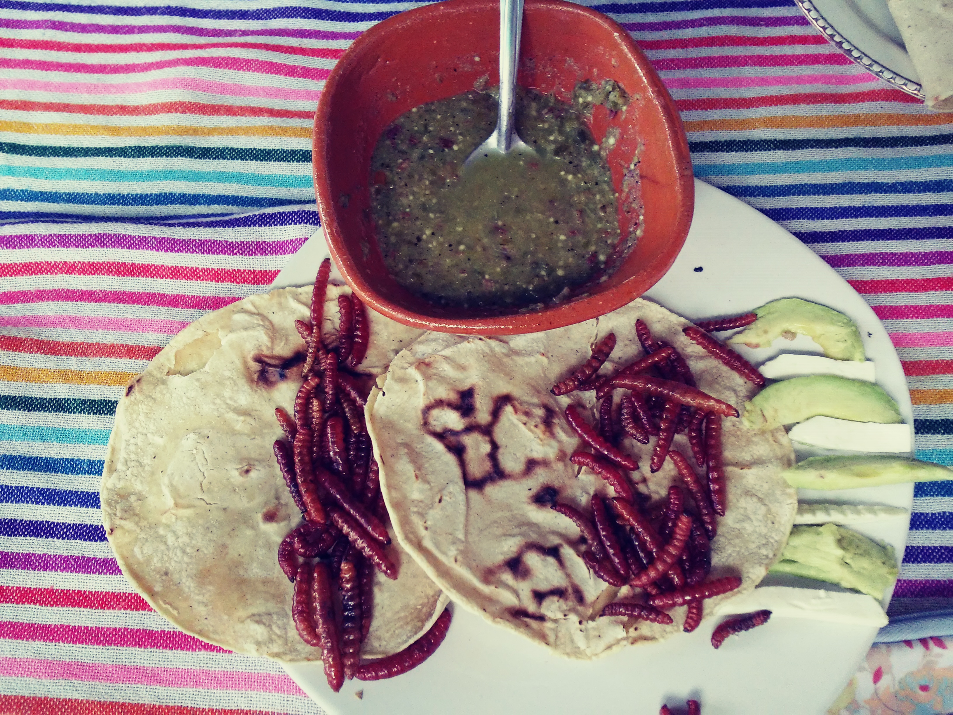 Escamol De Temporada image 9