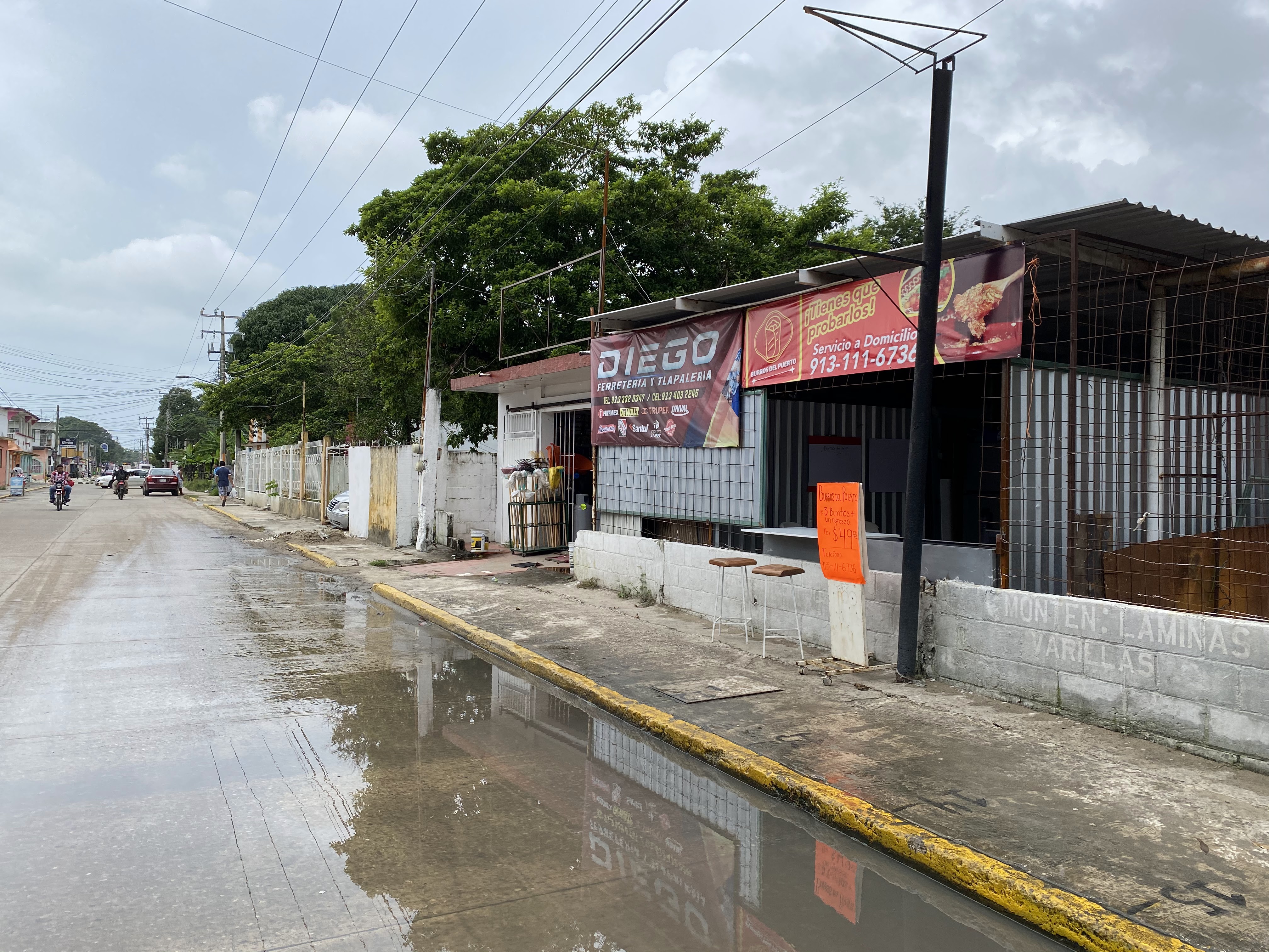 Burros del Puerto image 4