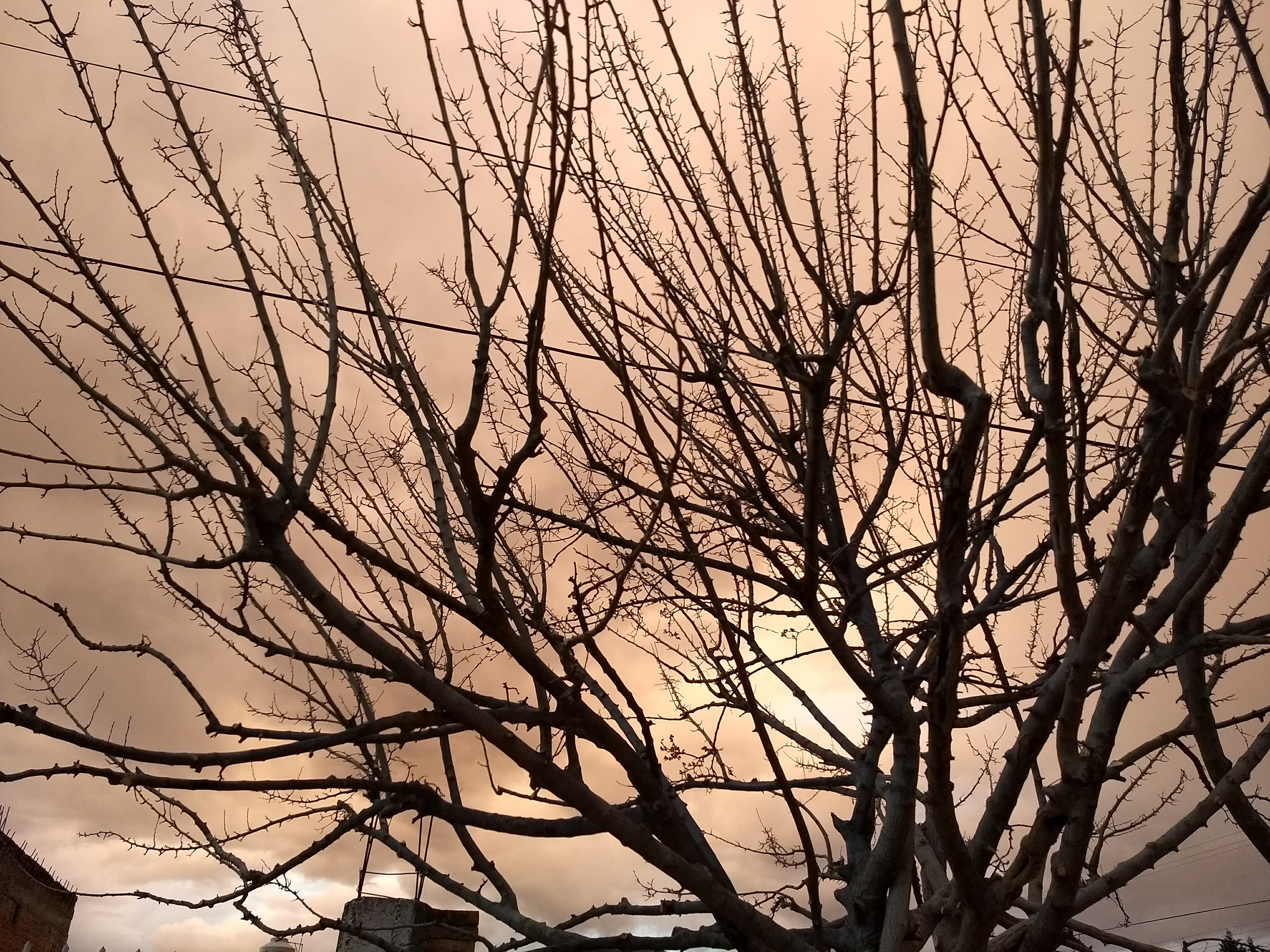 Tortilleria Libertad image 2