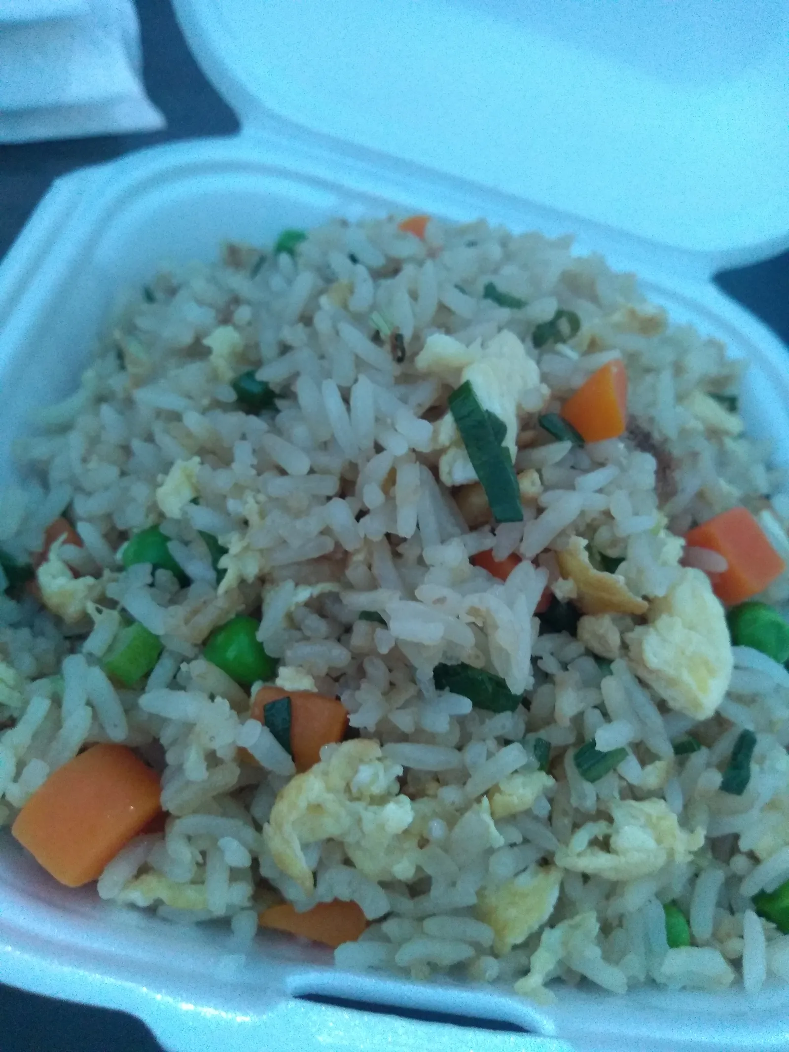 COMIDA CHINA 4 image 10