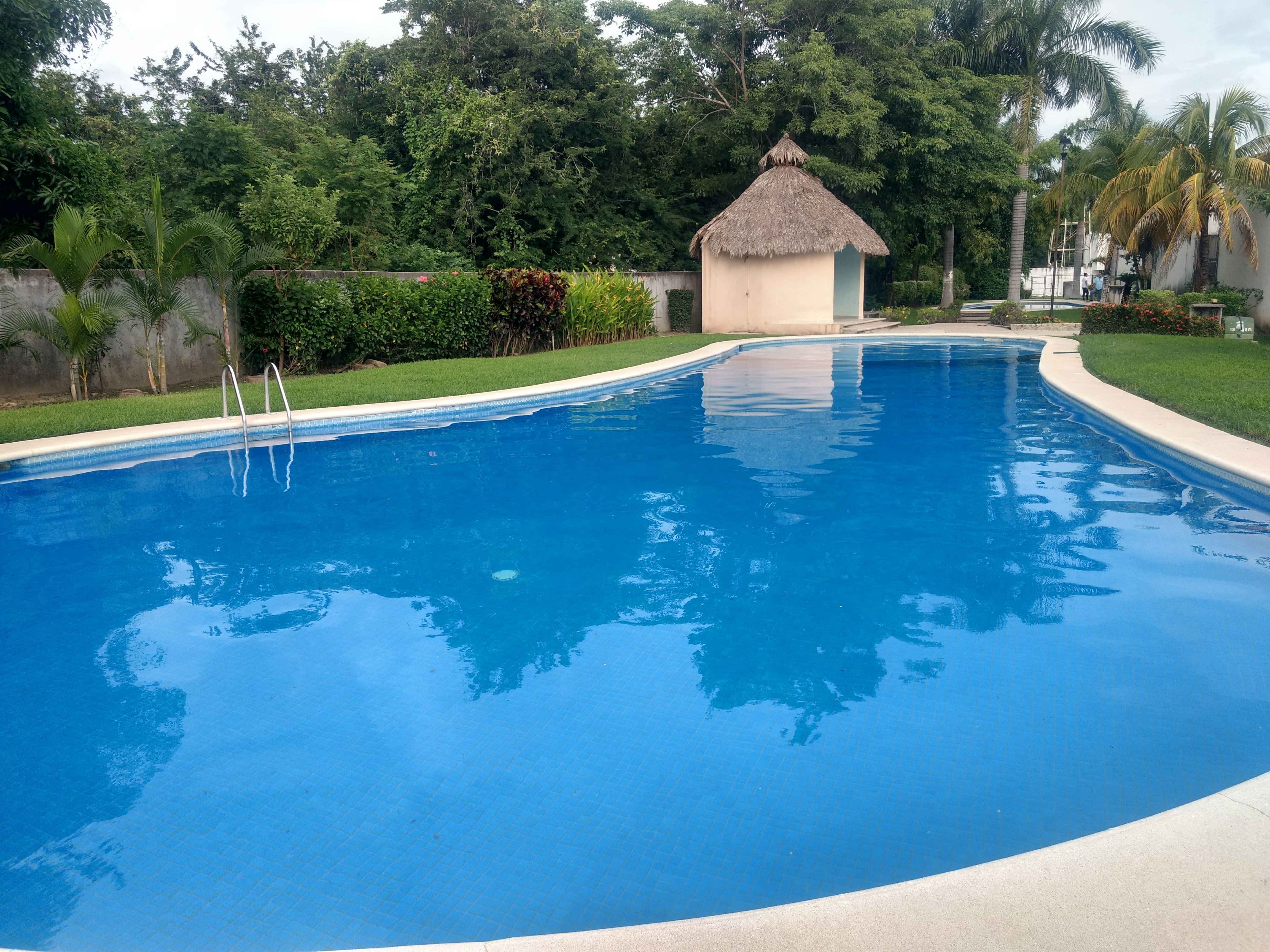 Barbacoa de Chivo La Parota' image 4