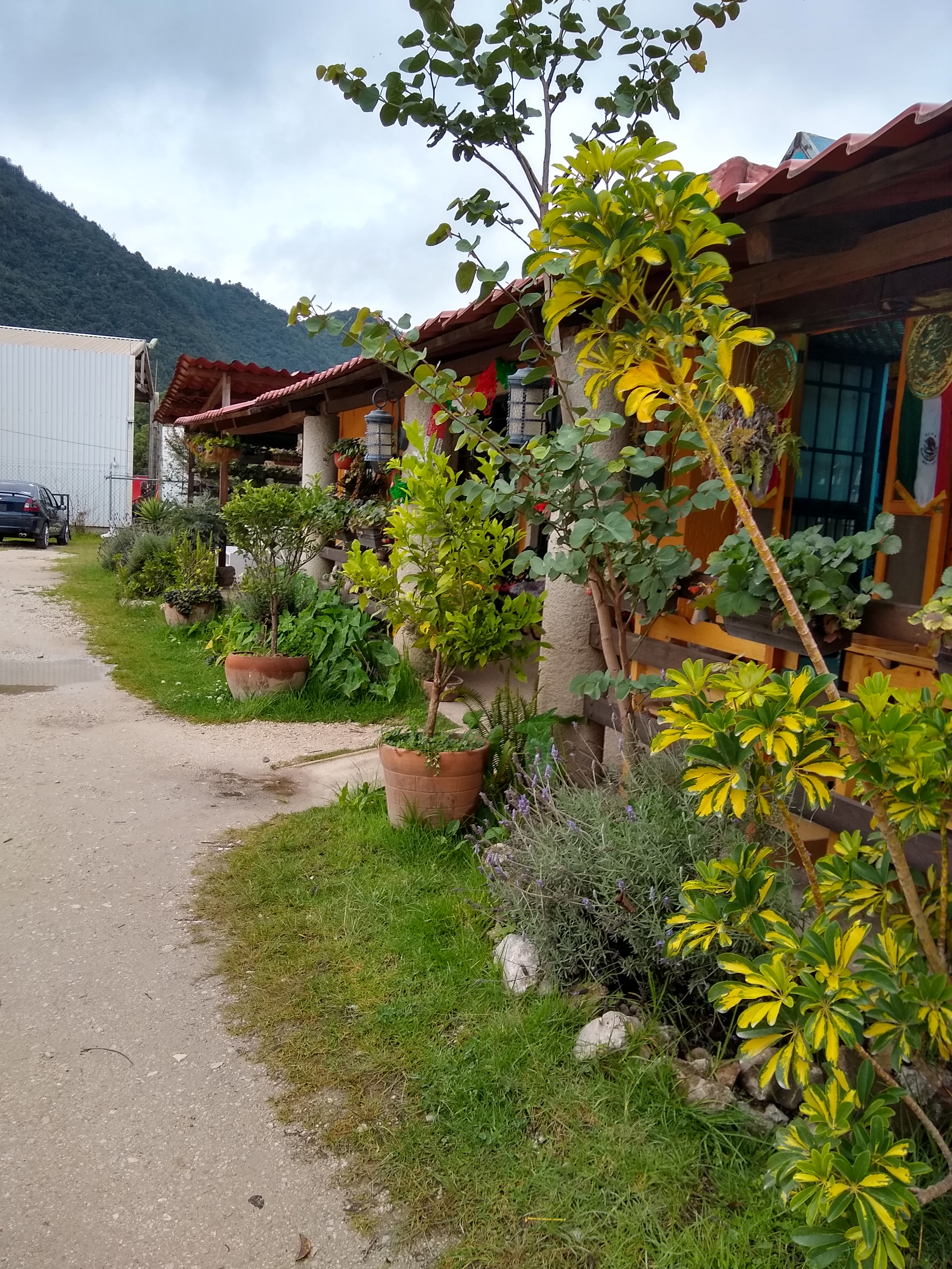Restaurante Nadxhielly image 3