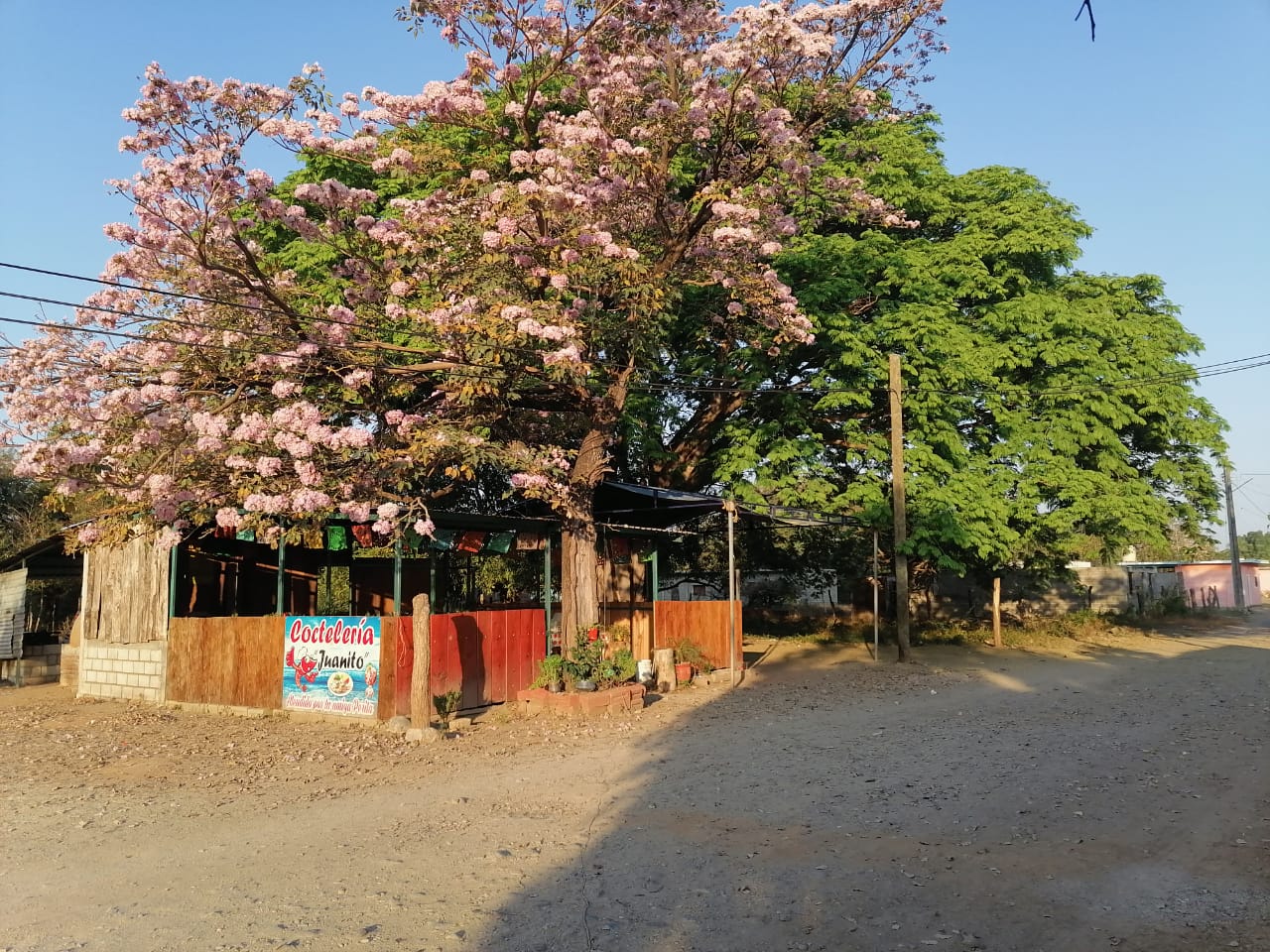 #juanito Cokteleria image 7