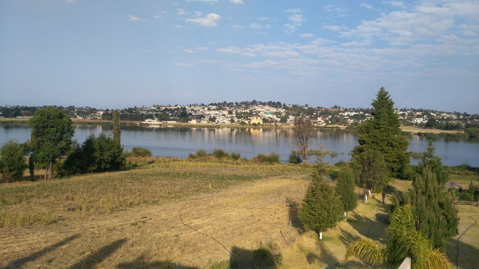 Rica Pancita "La Laguna" image 7