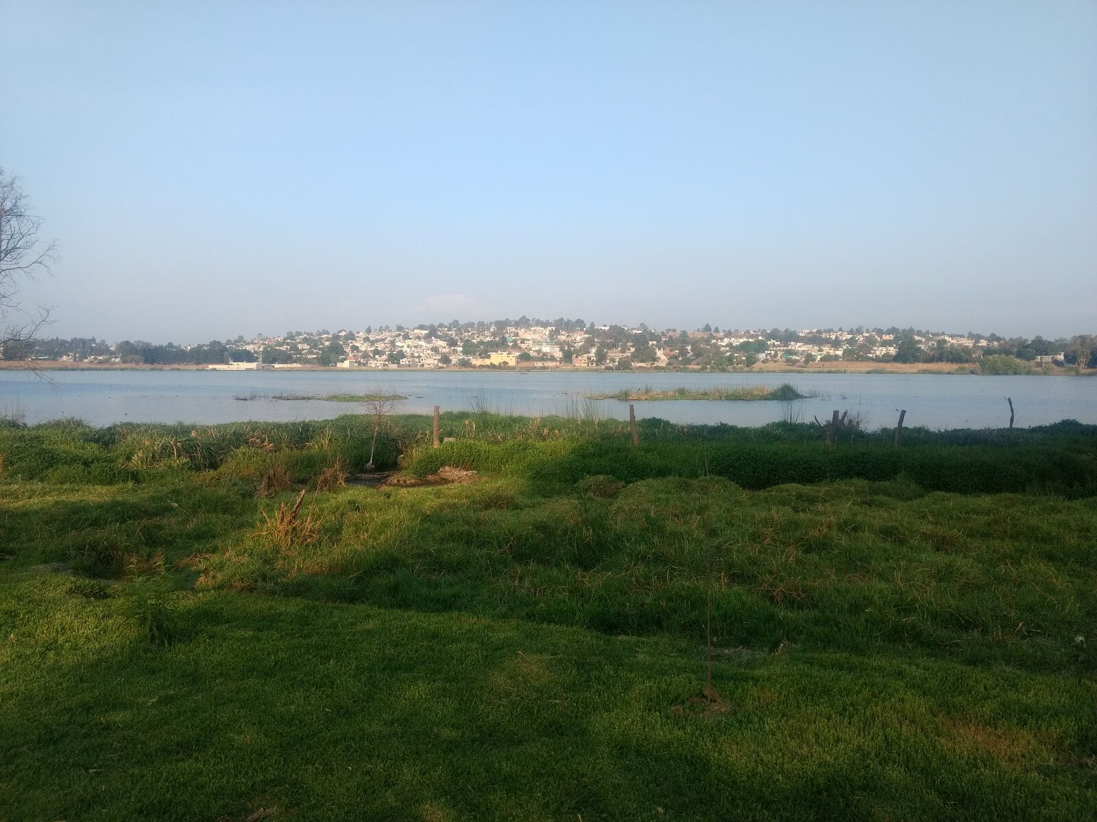 Rica Pancita "La Laguna" image 8