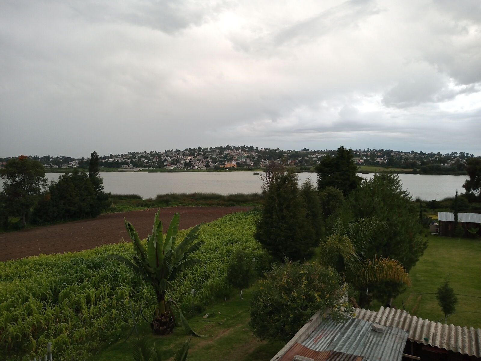 Rica Pancita "La Laguna" image 10