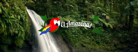 El Amazonas image 3