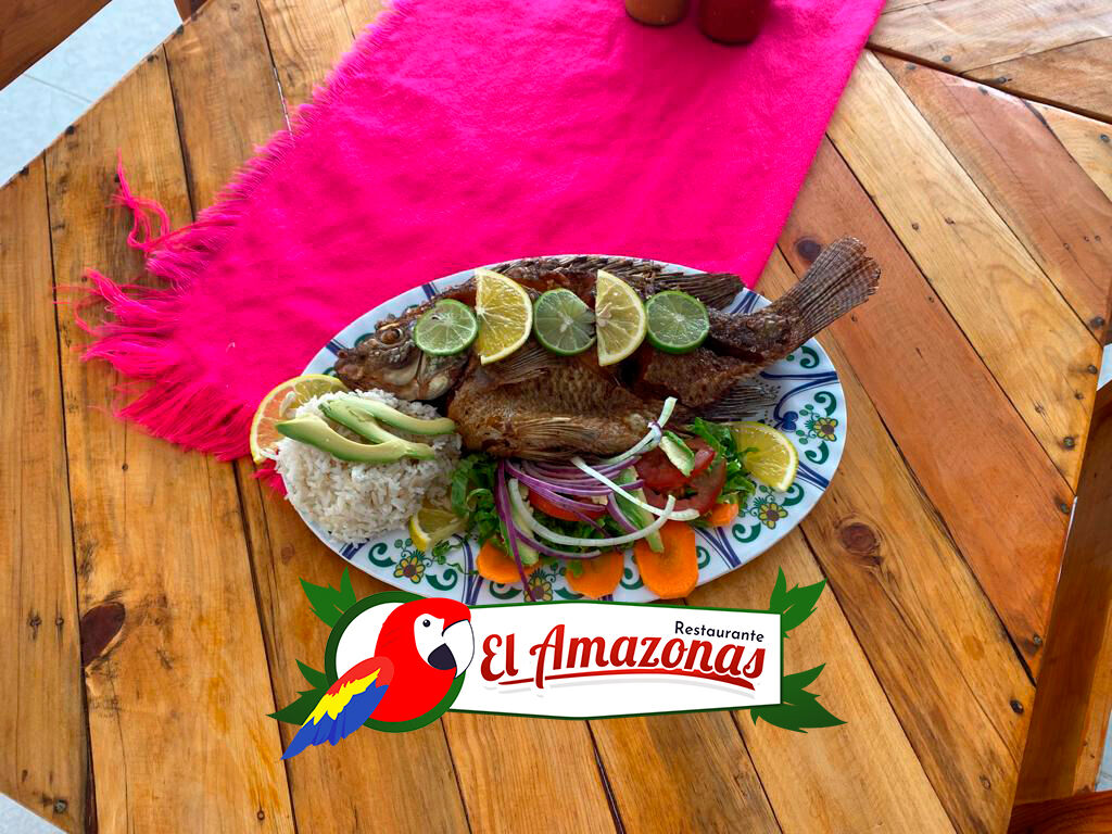 El Amazonas image 5