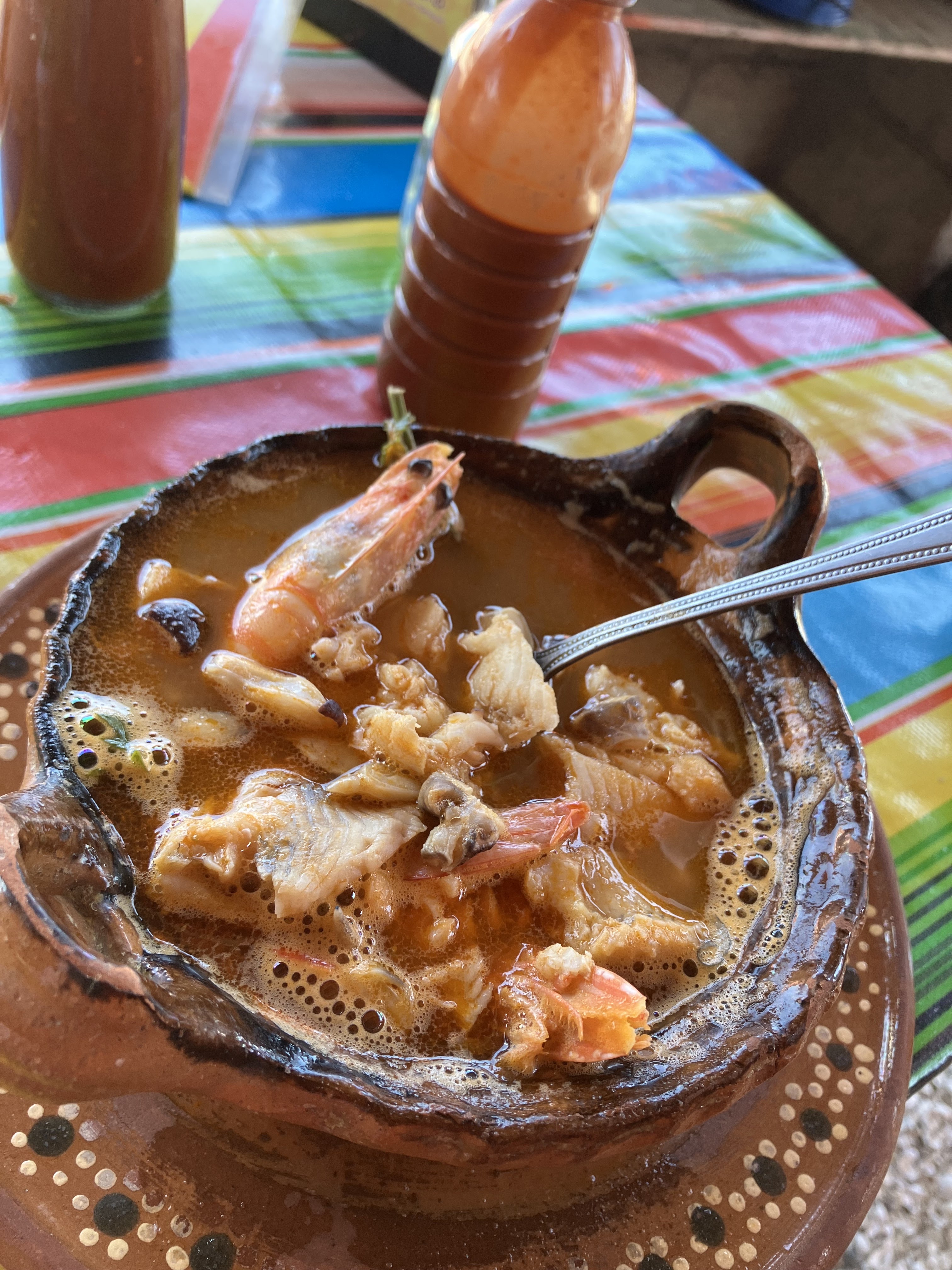 La Riviera Alvaradeña¡¡¡ image 5