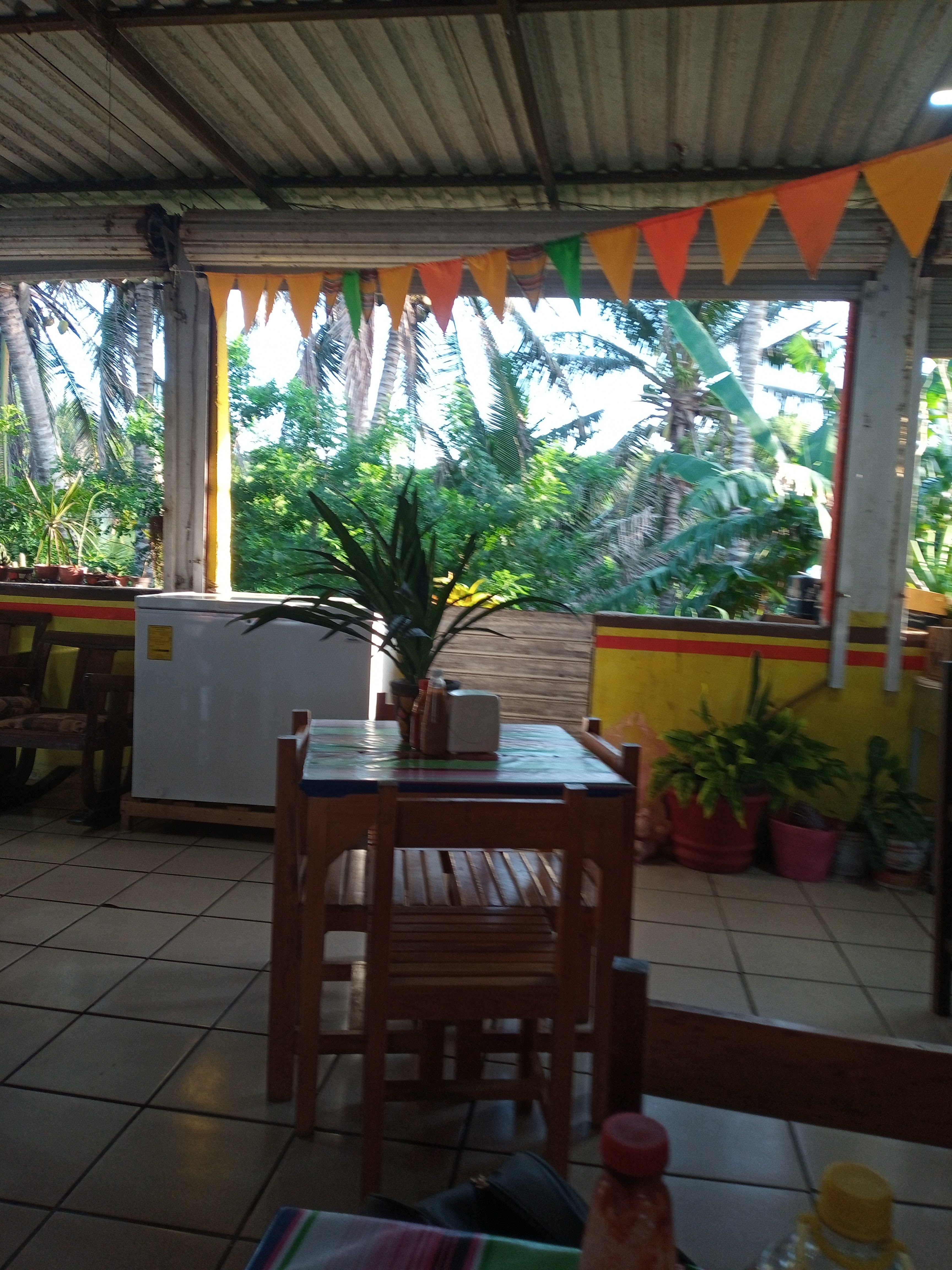 La Riviera Alvaradeña¡¡¡ image 8