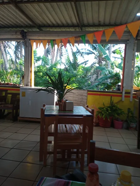 La Riviera Alvaradeña¡¡¡ image 8