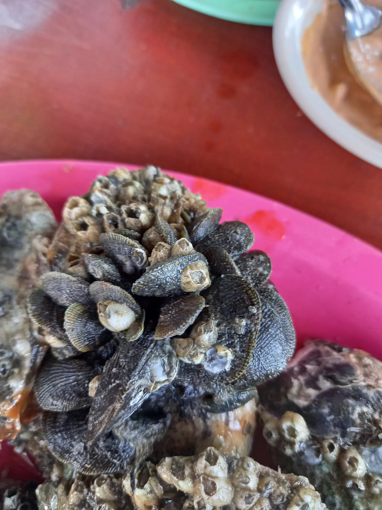 EL PESCADOR image 6
