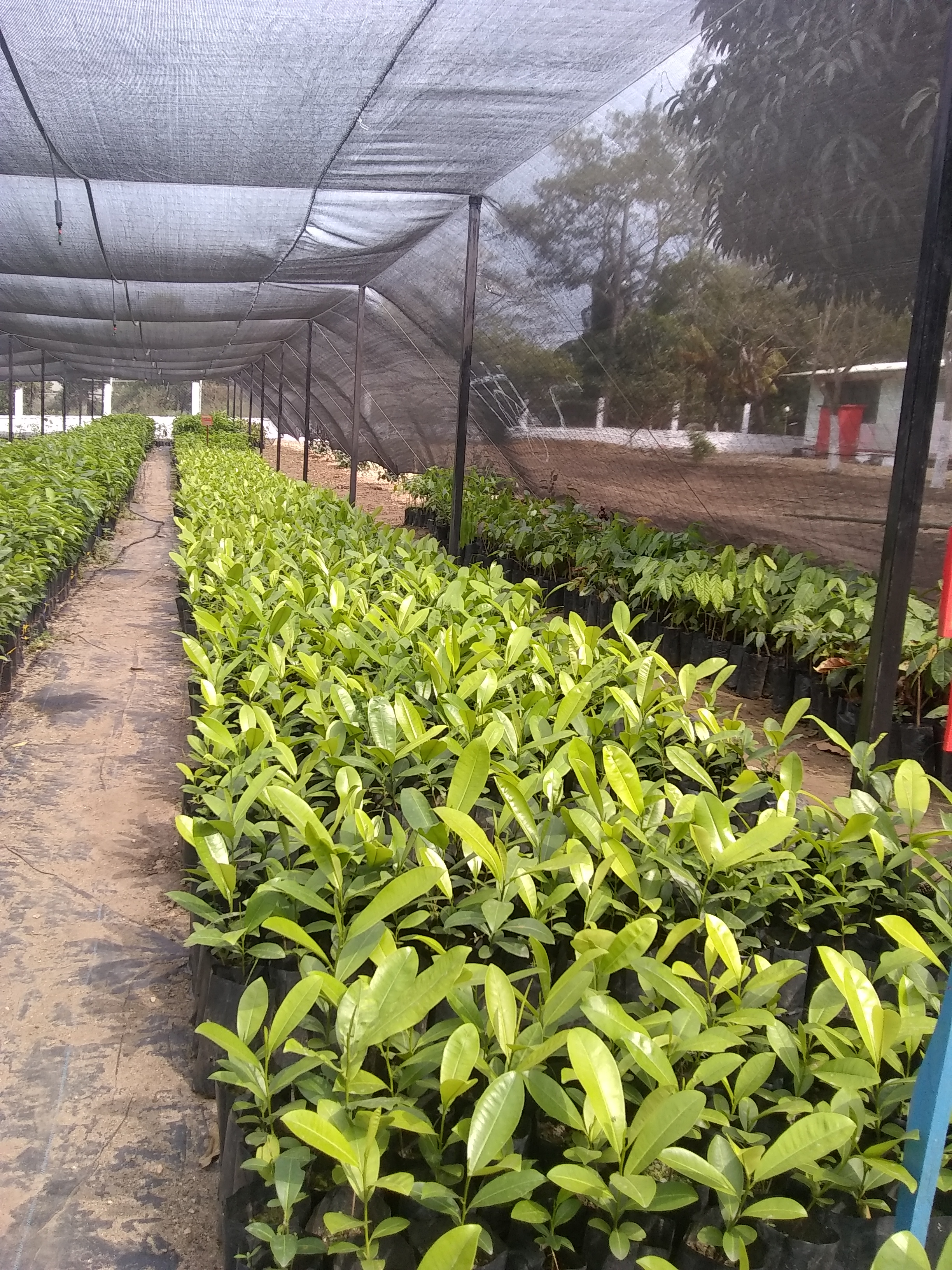 Palapa el Rinconcito image 2