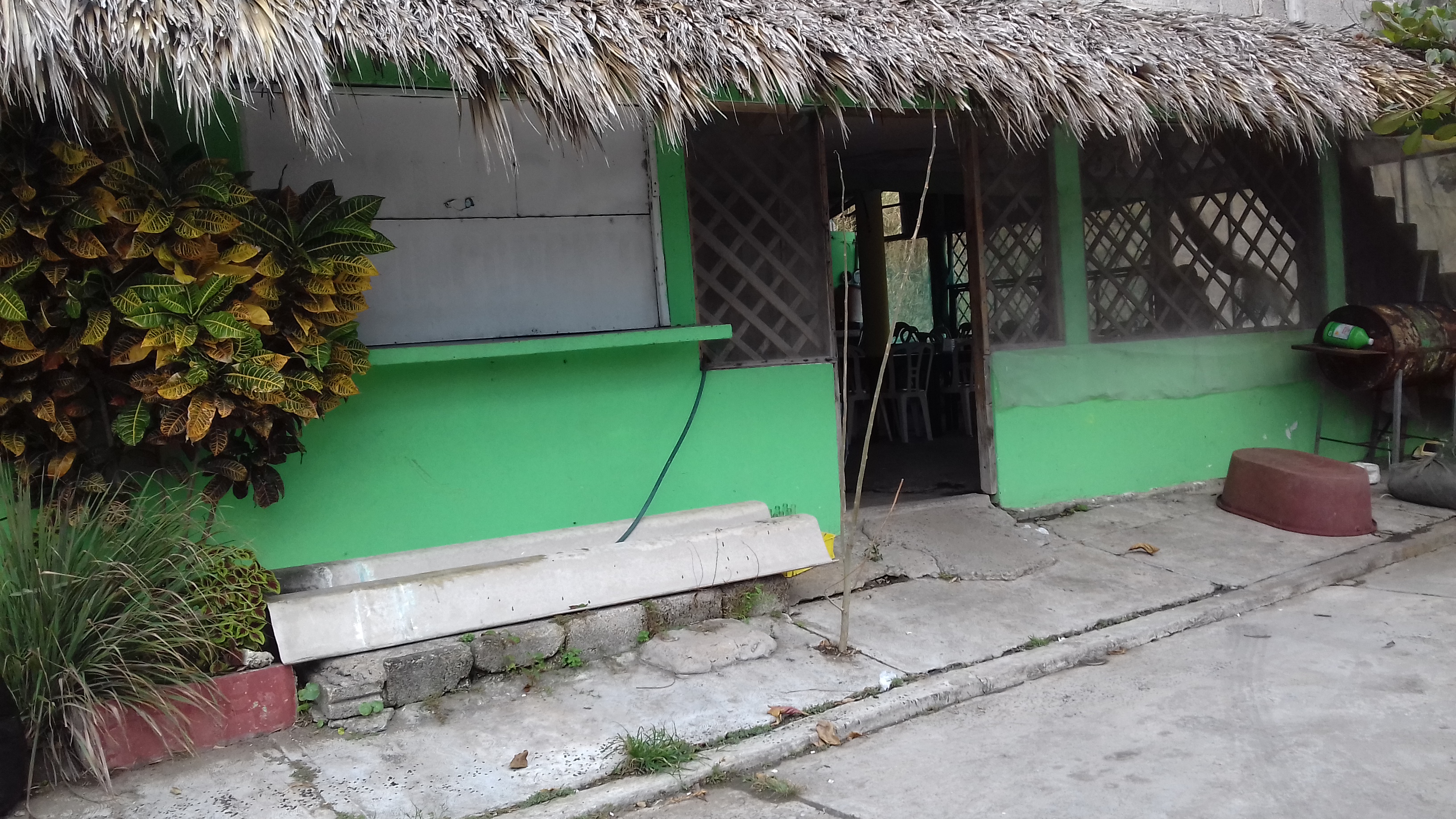 Palapa el Rinconcito image 4