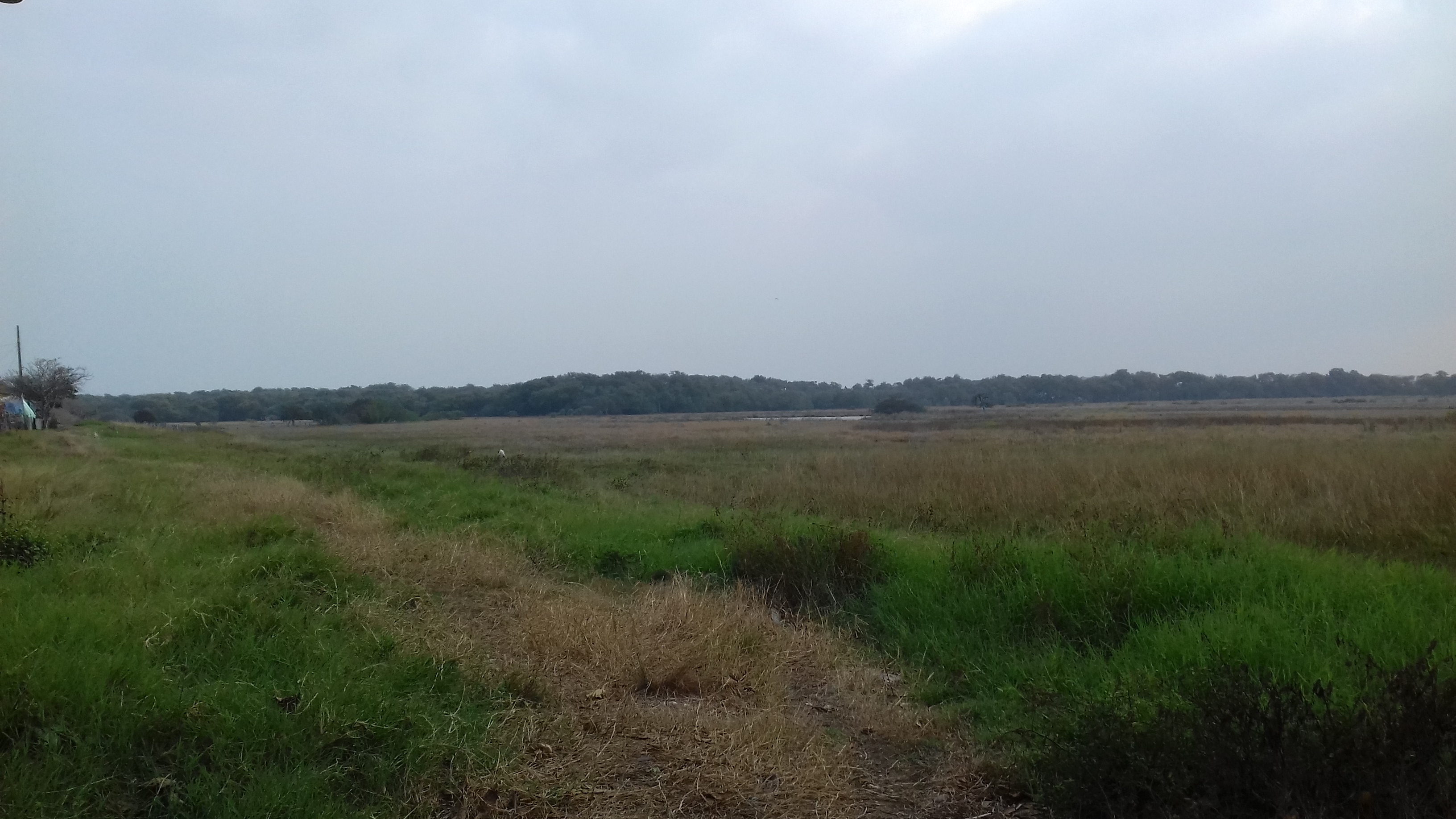 Palapa el Rinconcito image 7