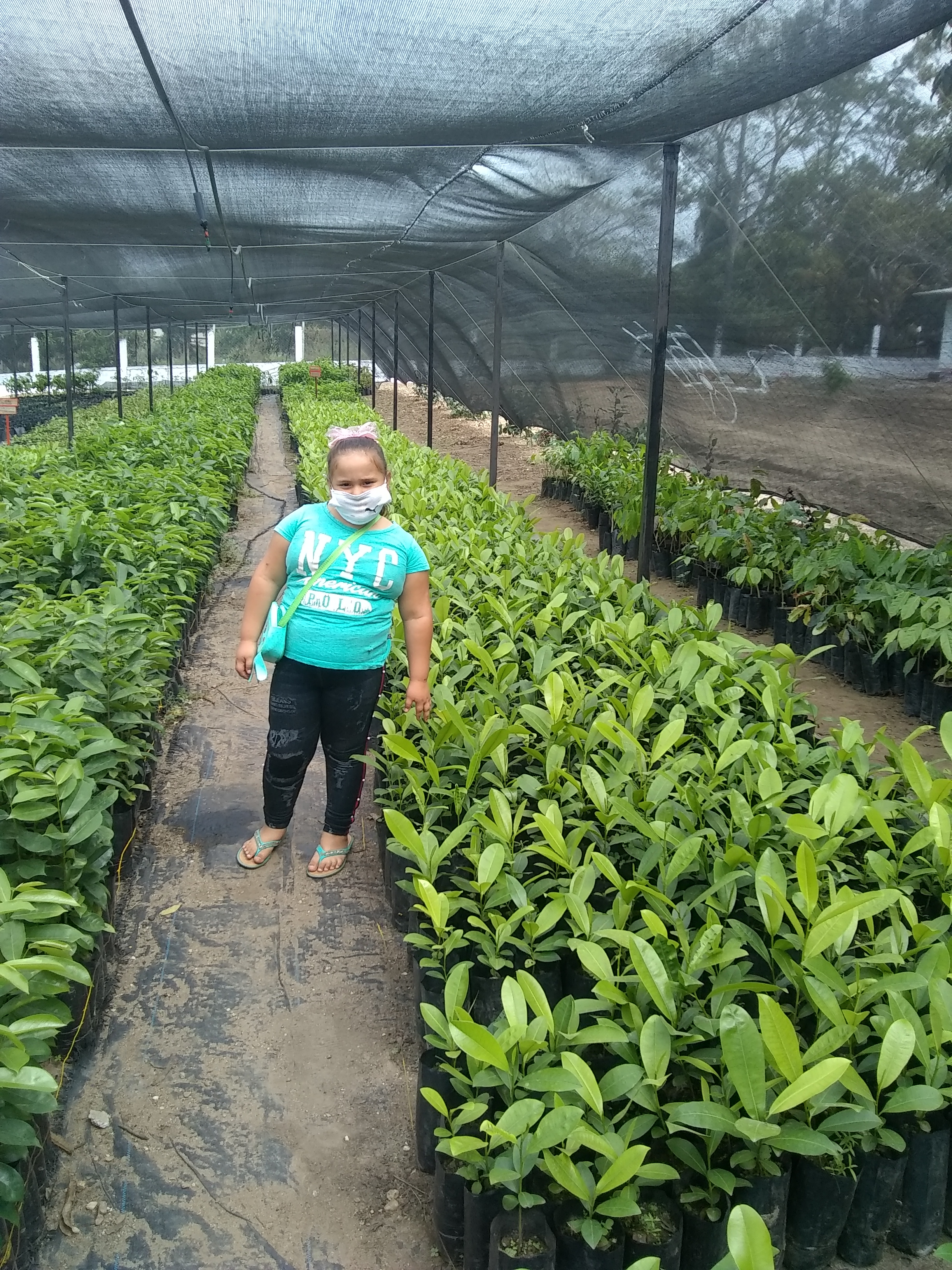 Palapa el Rinconcito image 9