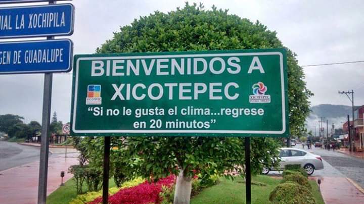 Tacos y tortillas "Juquilita" image 10