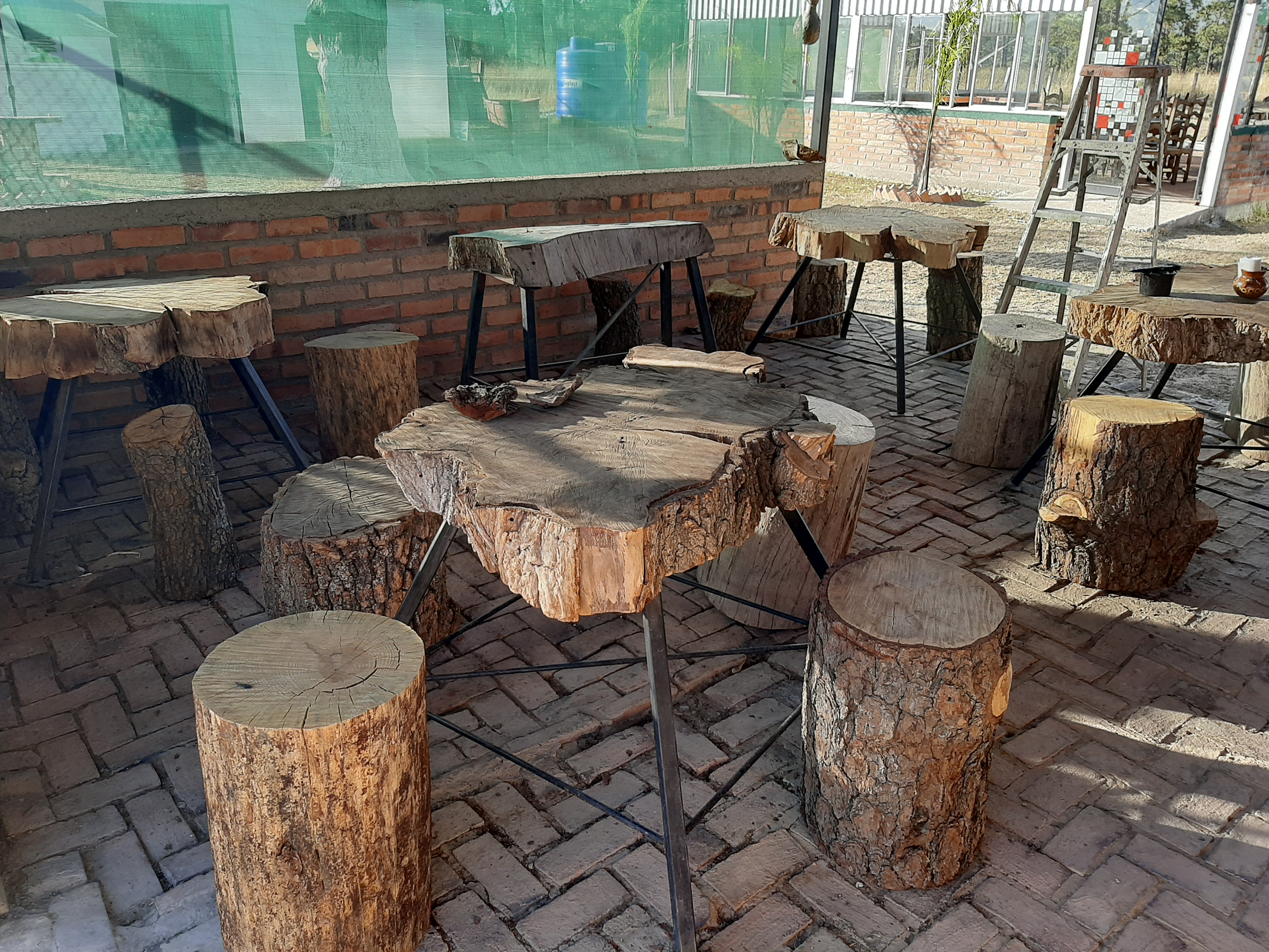 Cantaritos El Profe image 1