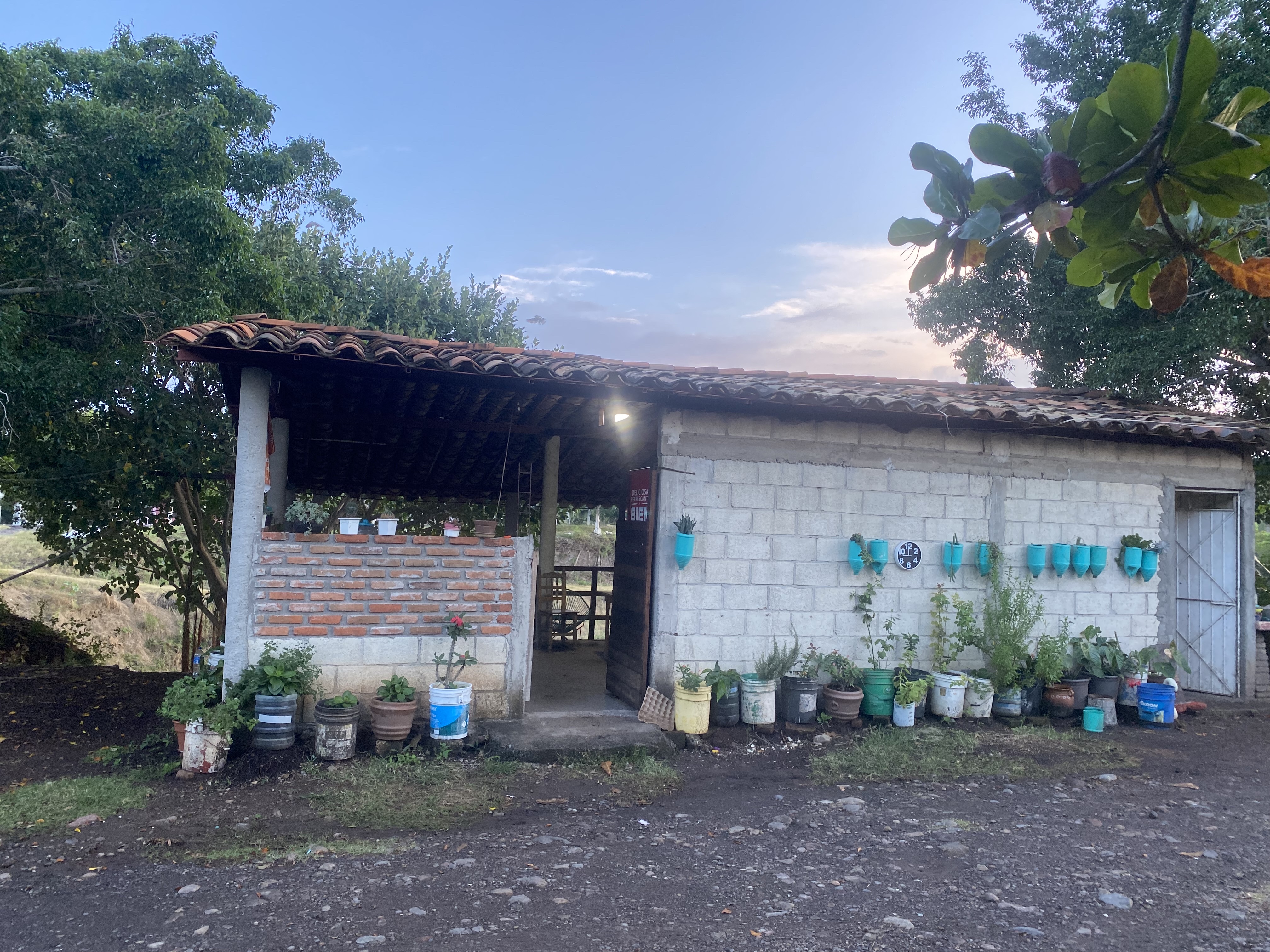 Palapa Buena Vista image 1