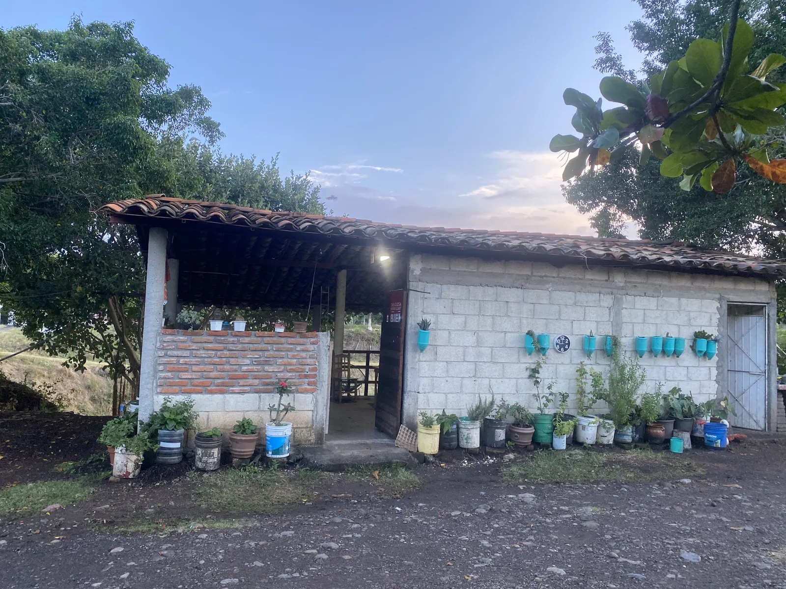 Palapa Buena Vista image 1