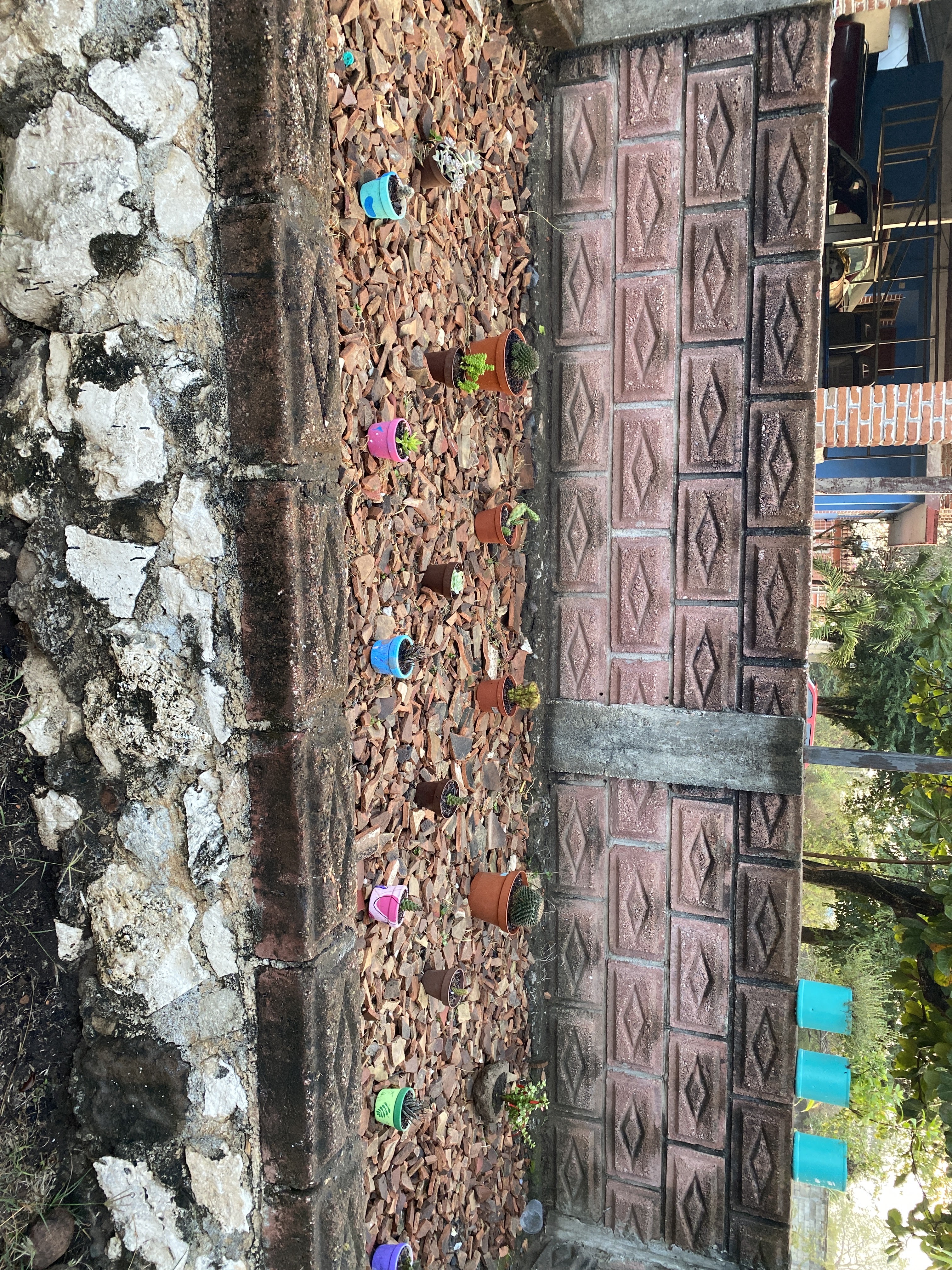 Palapa Buena Vista image 2