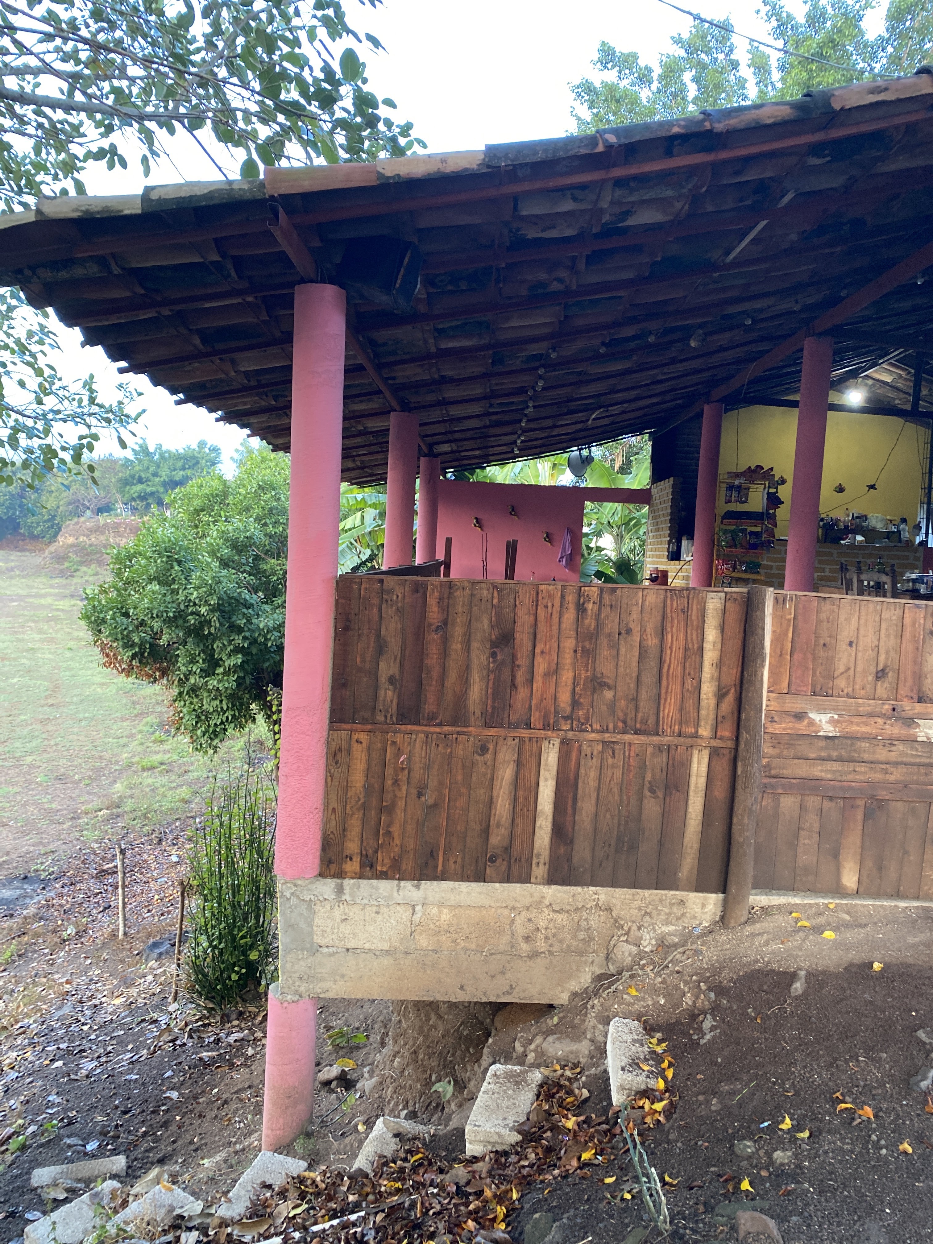 Palapa Buena Vista image 3