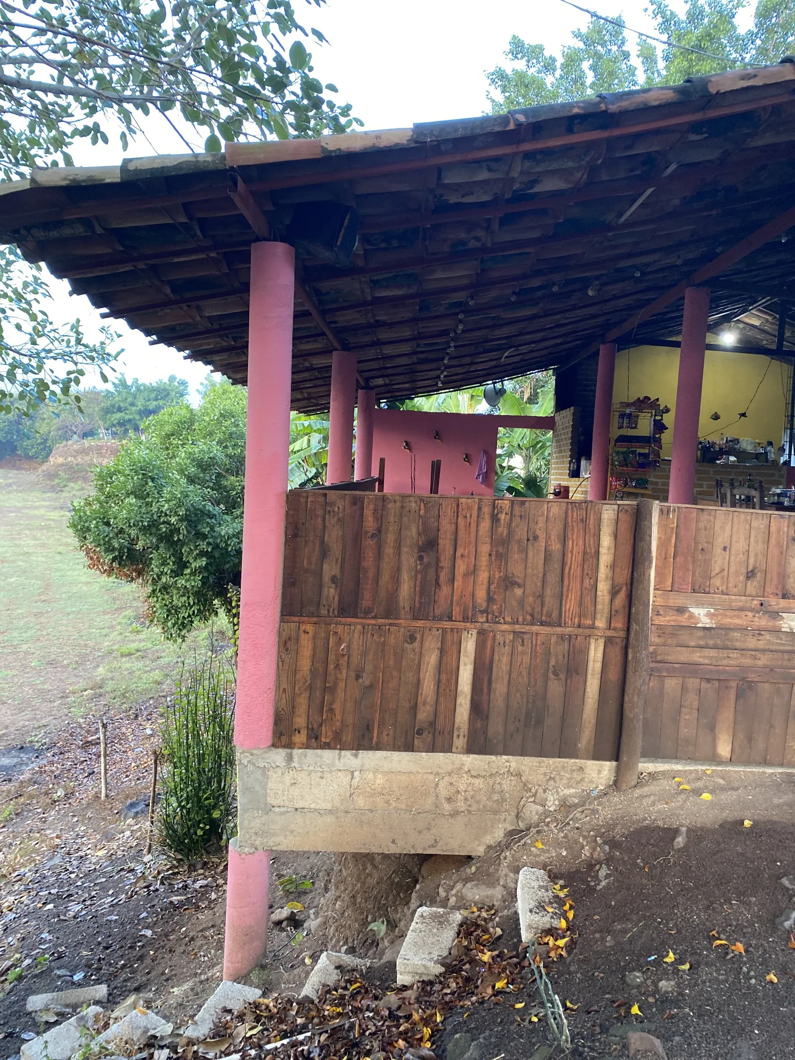 Palapa Buena Vista image 3