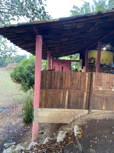 Palapa Buena Vista image 3