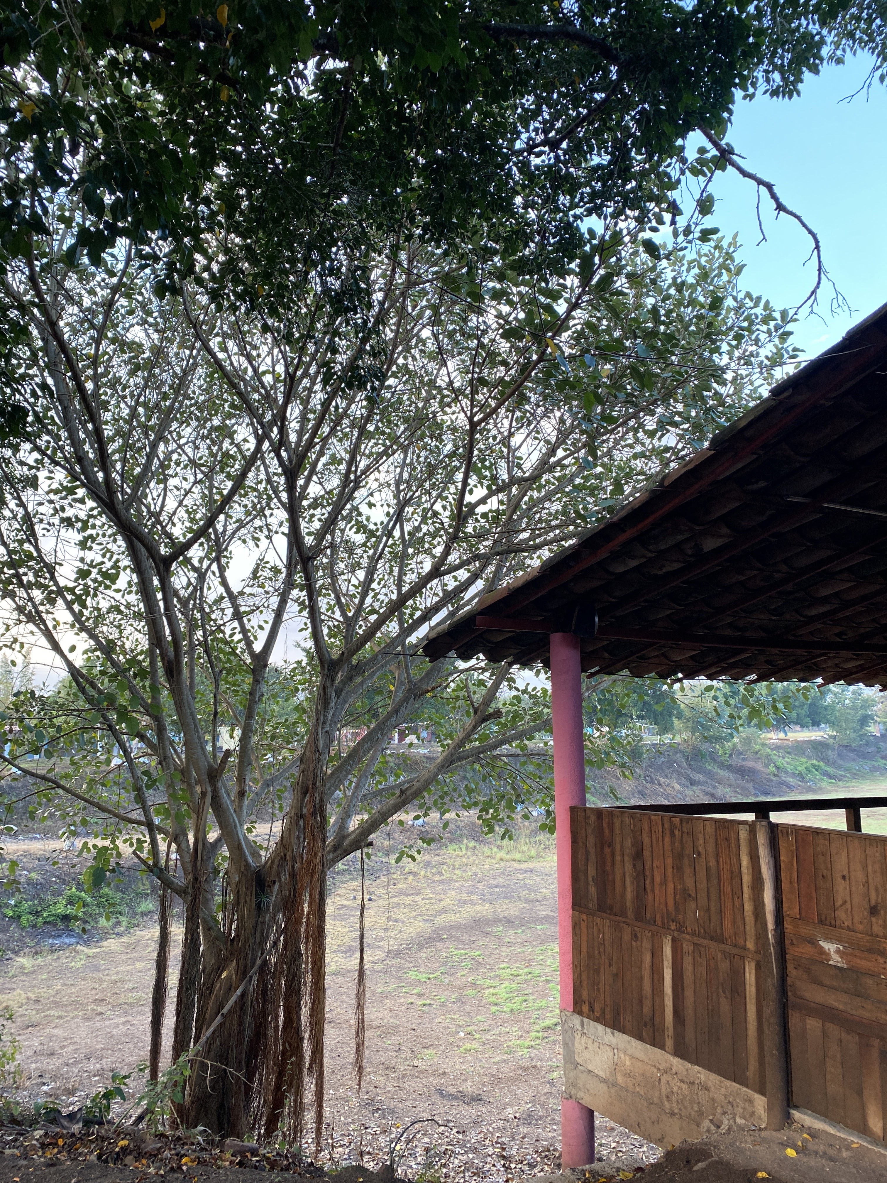 Palapa Buena Vista image 4