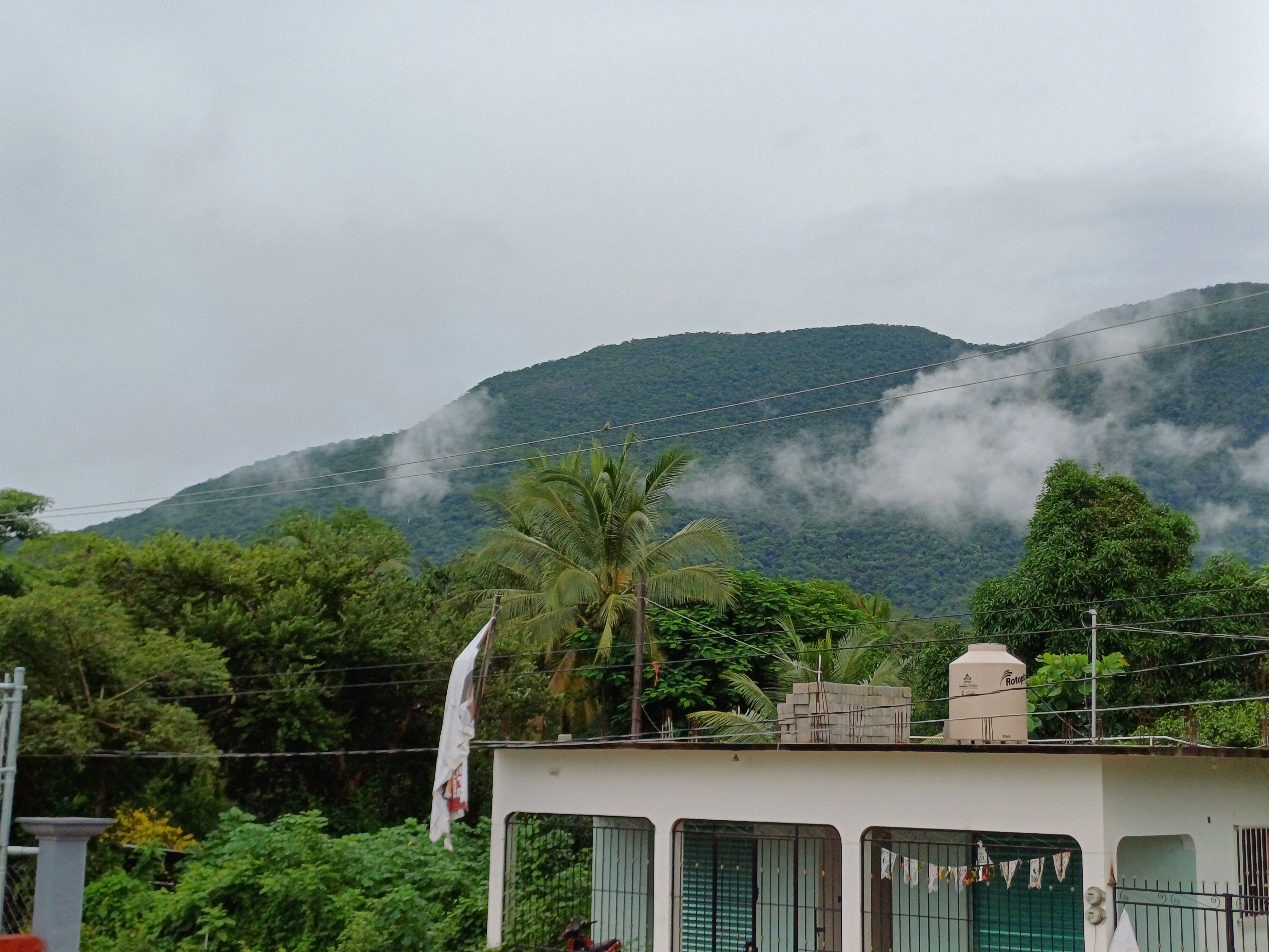 Restaurante Bar "Luz de Luna" image 3