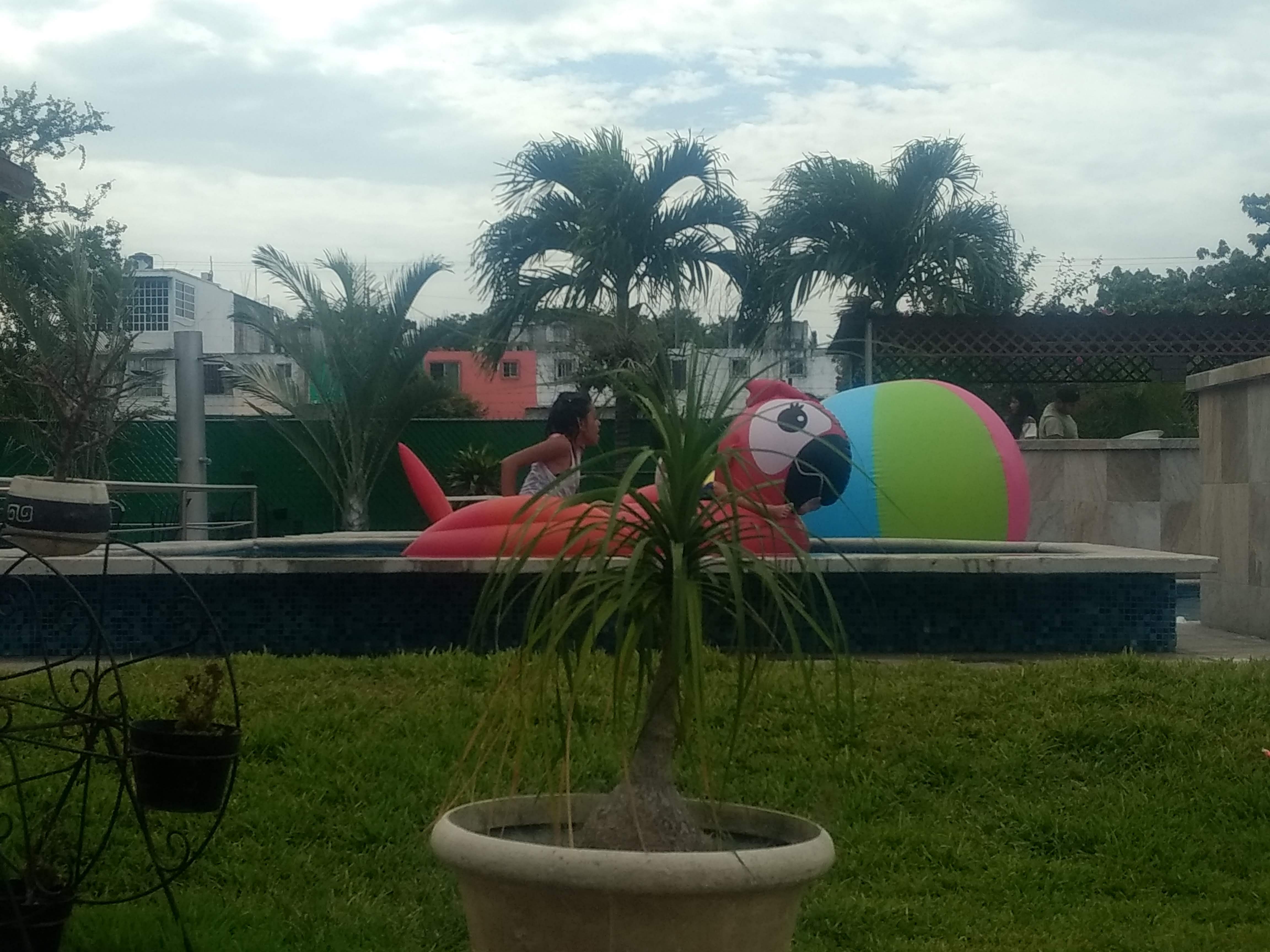 Deja Vu lounge Bar Coffee image 8