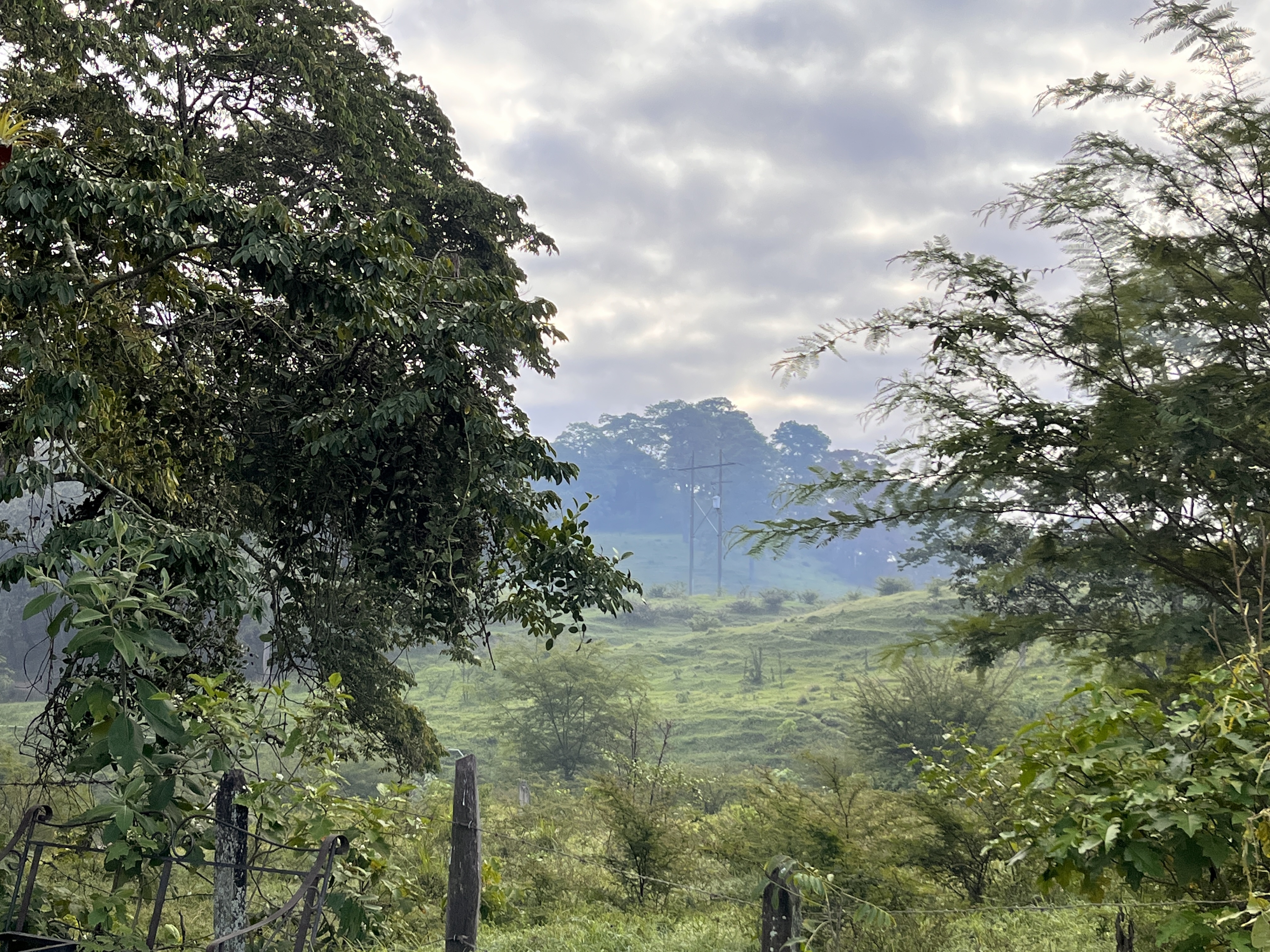 Comedor Shalom image 3