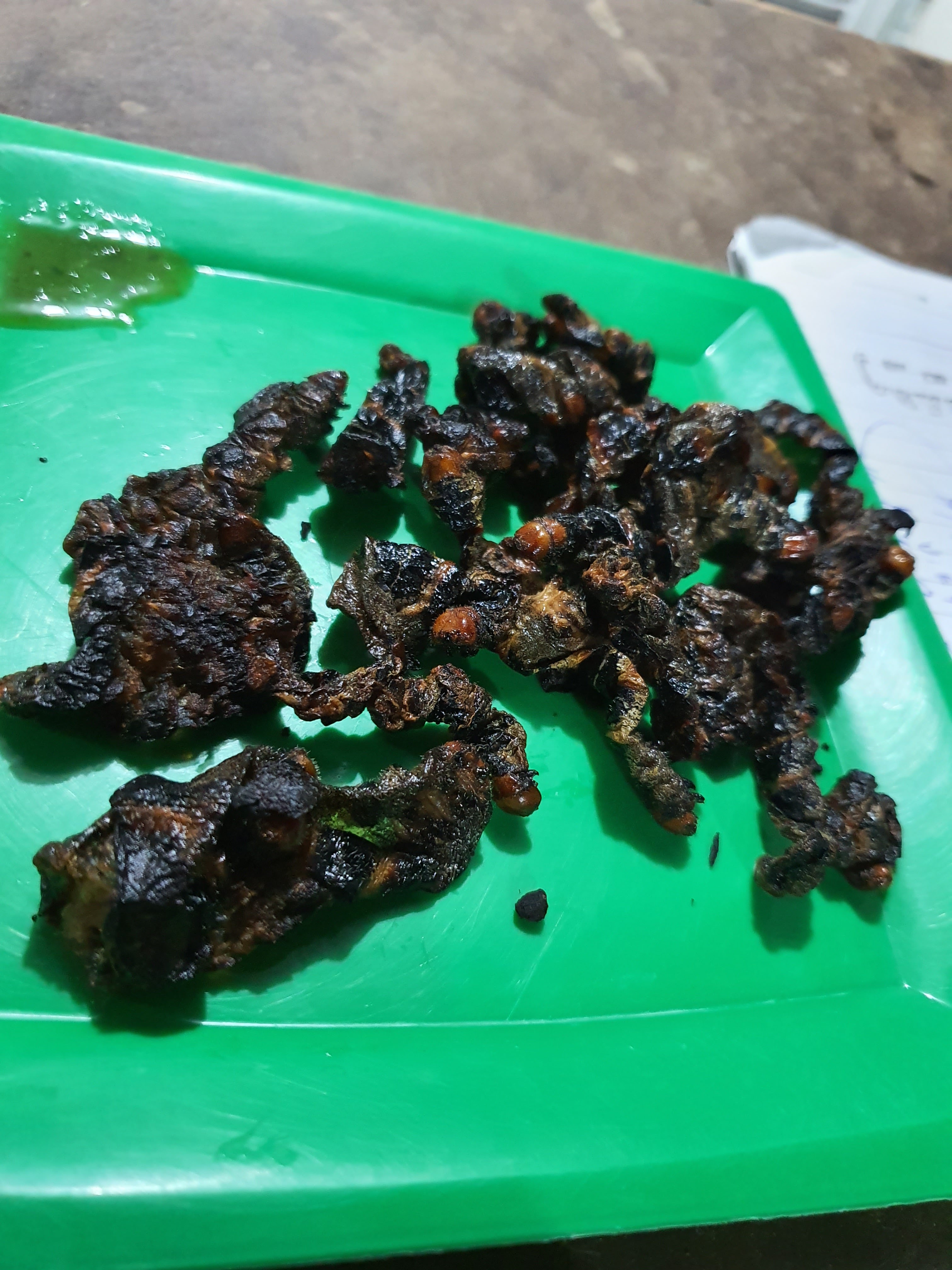 Cervecería Simá Cerveza Artesanal Ocosinguense image 6