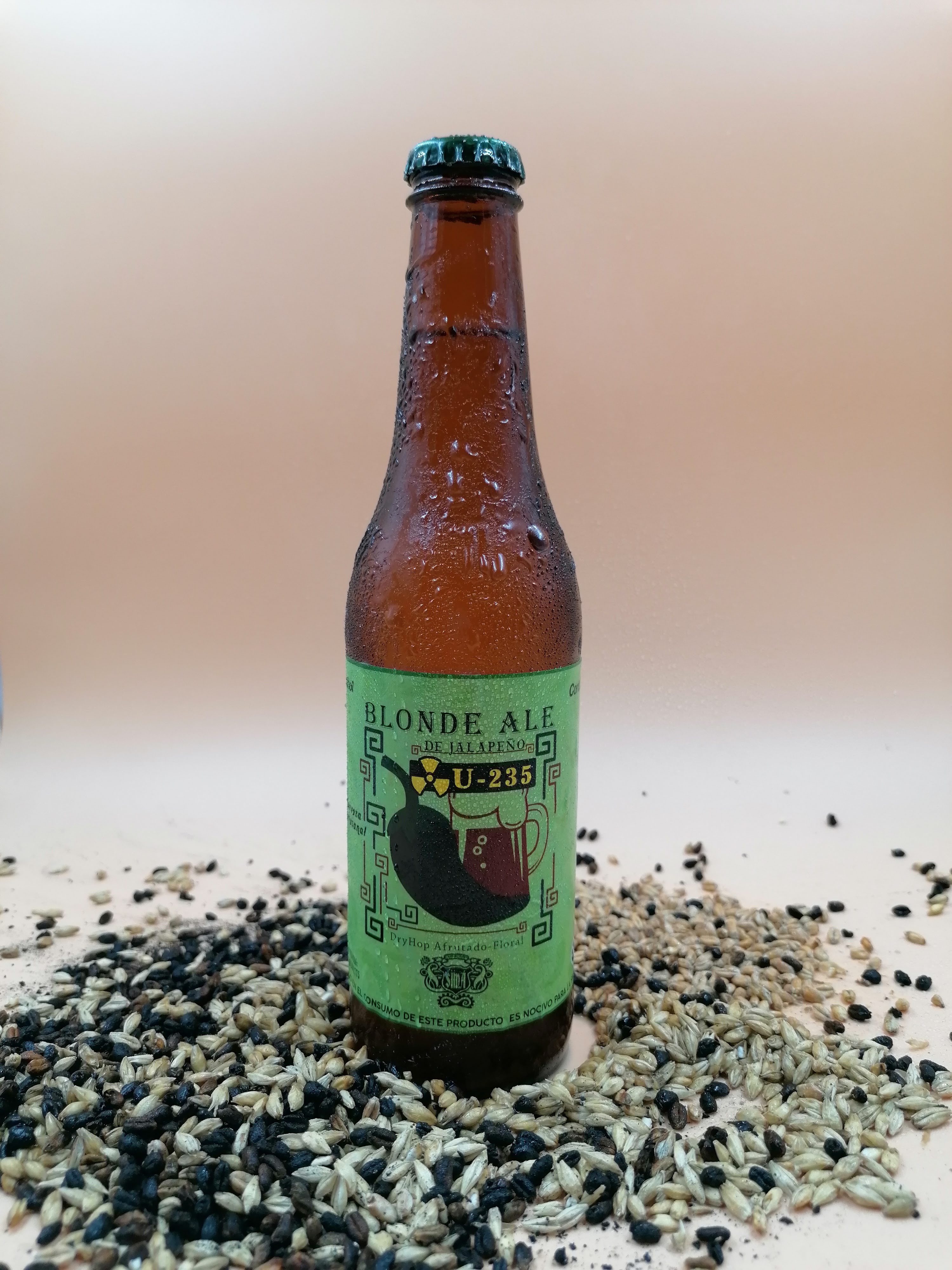 Cervecería Simá Cerveza Artesanal Ocosinguense image 9