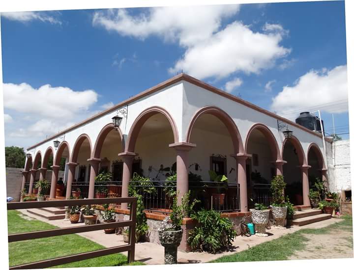 Birrieria Los Cabritos image 8