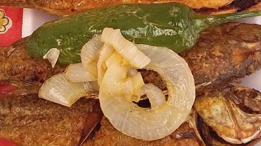 Granja el llano de los vieyras image 1