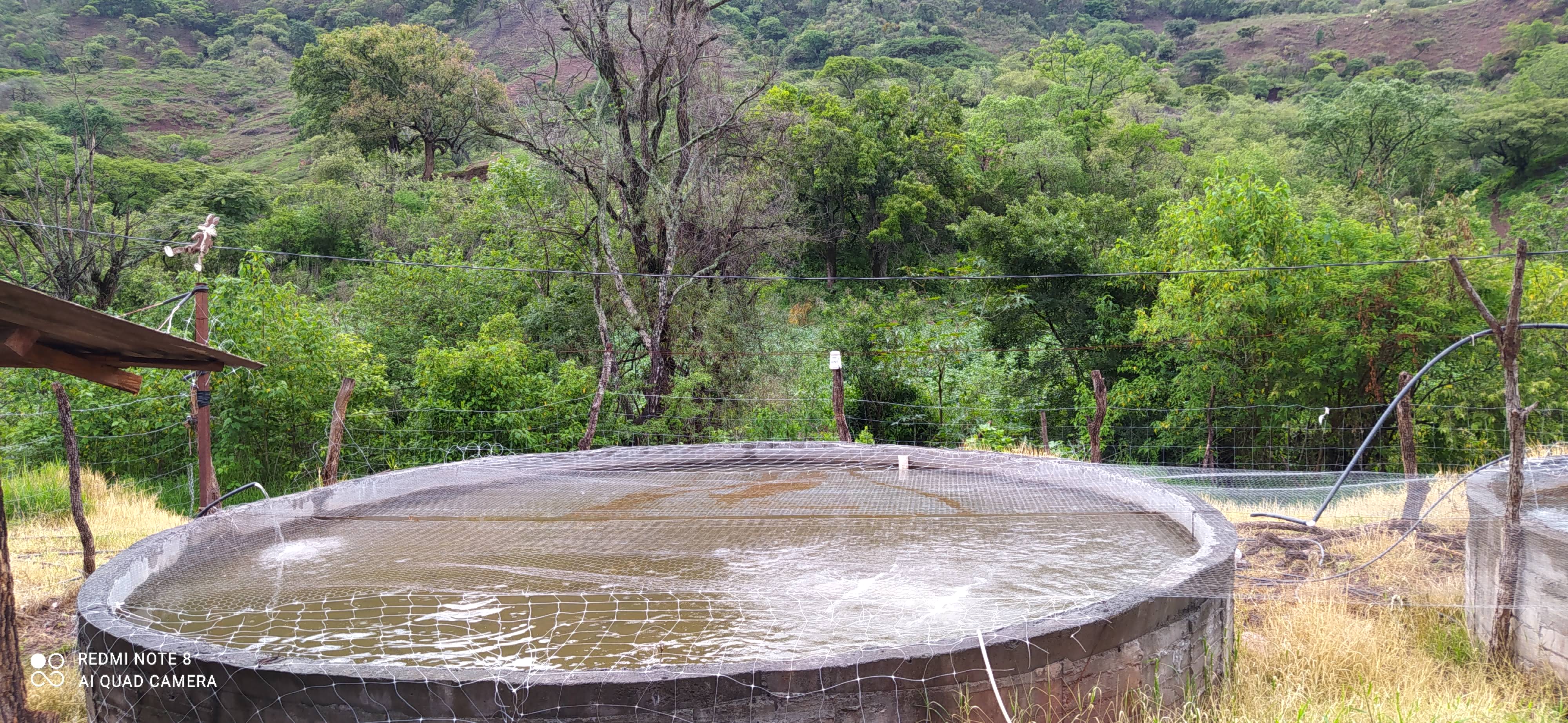 Granja el llano de los vieyras image 2