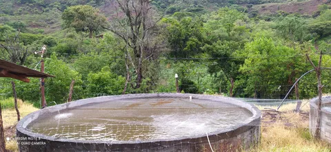 Granja el llano de los vieyras image 2
