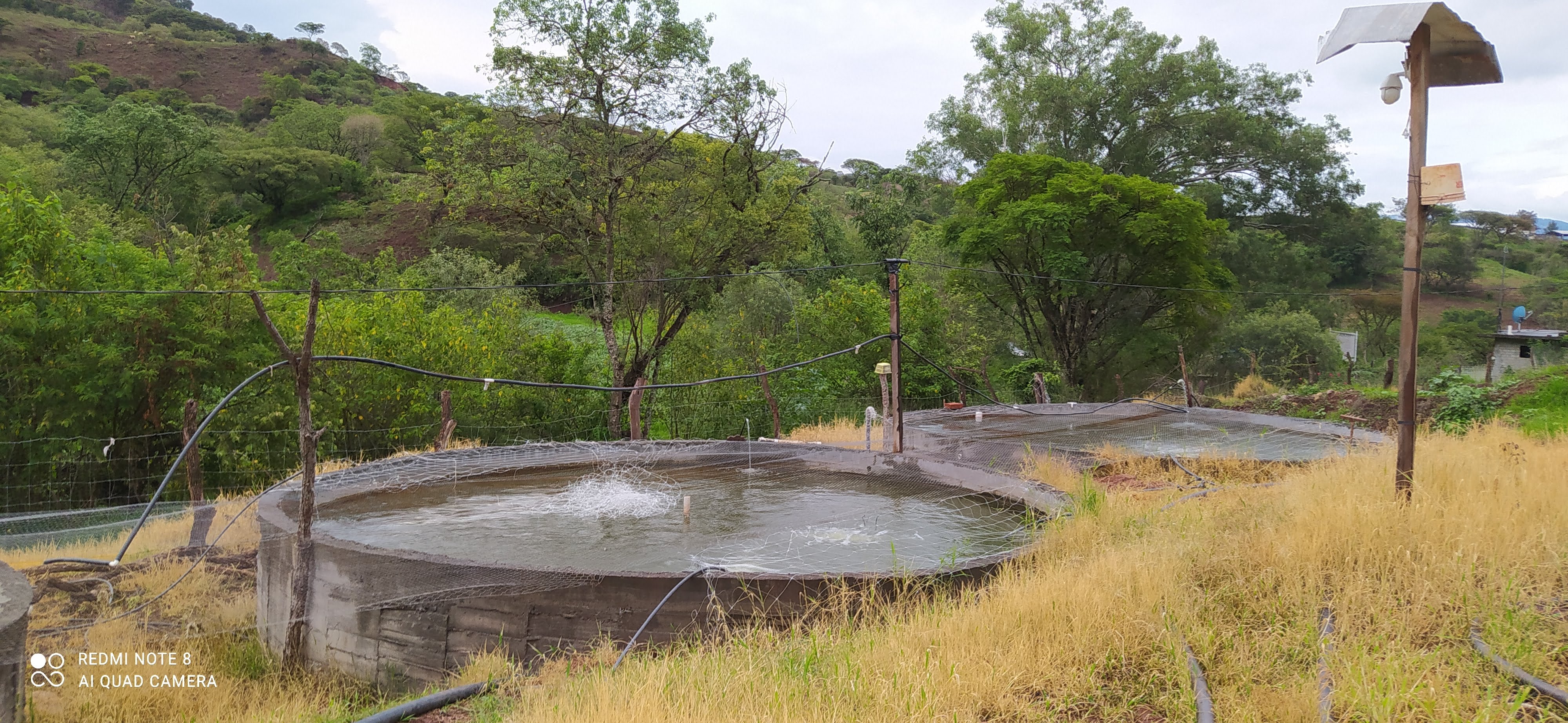 Granja el llano de los vieyras image 3