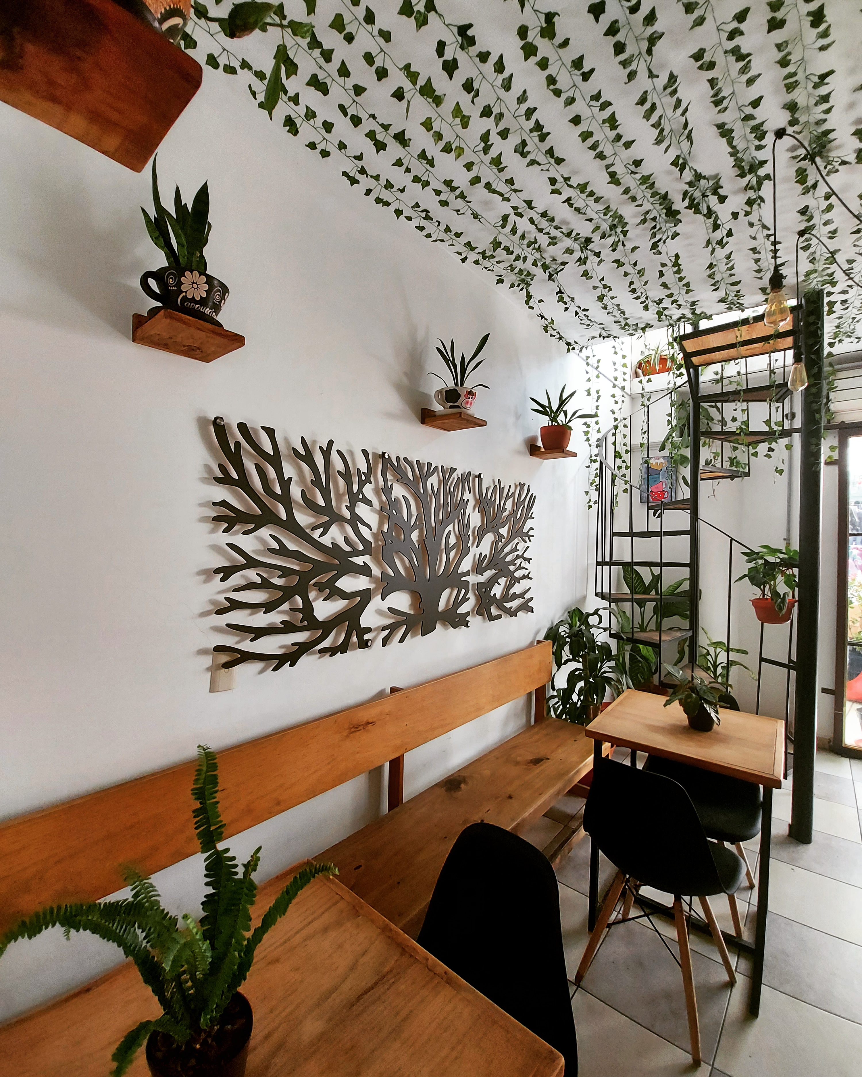 SER VERDE & CAFÉ image 1