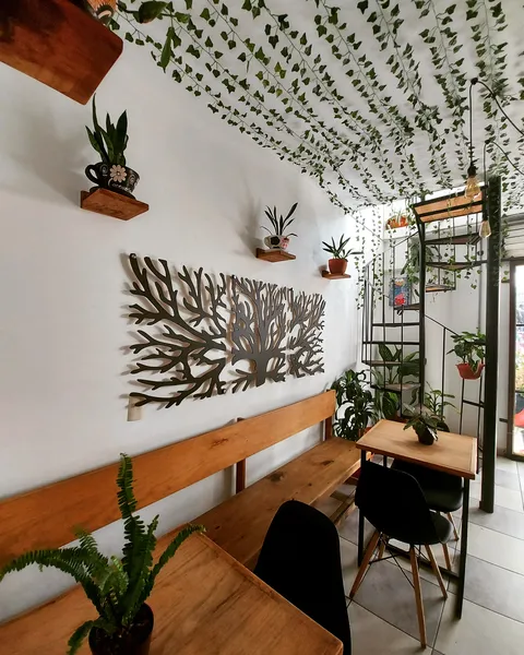 SER VERDE & CAFÉ image 1