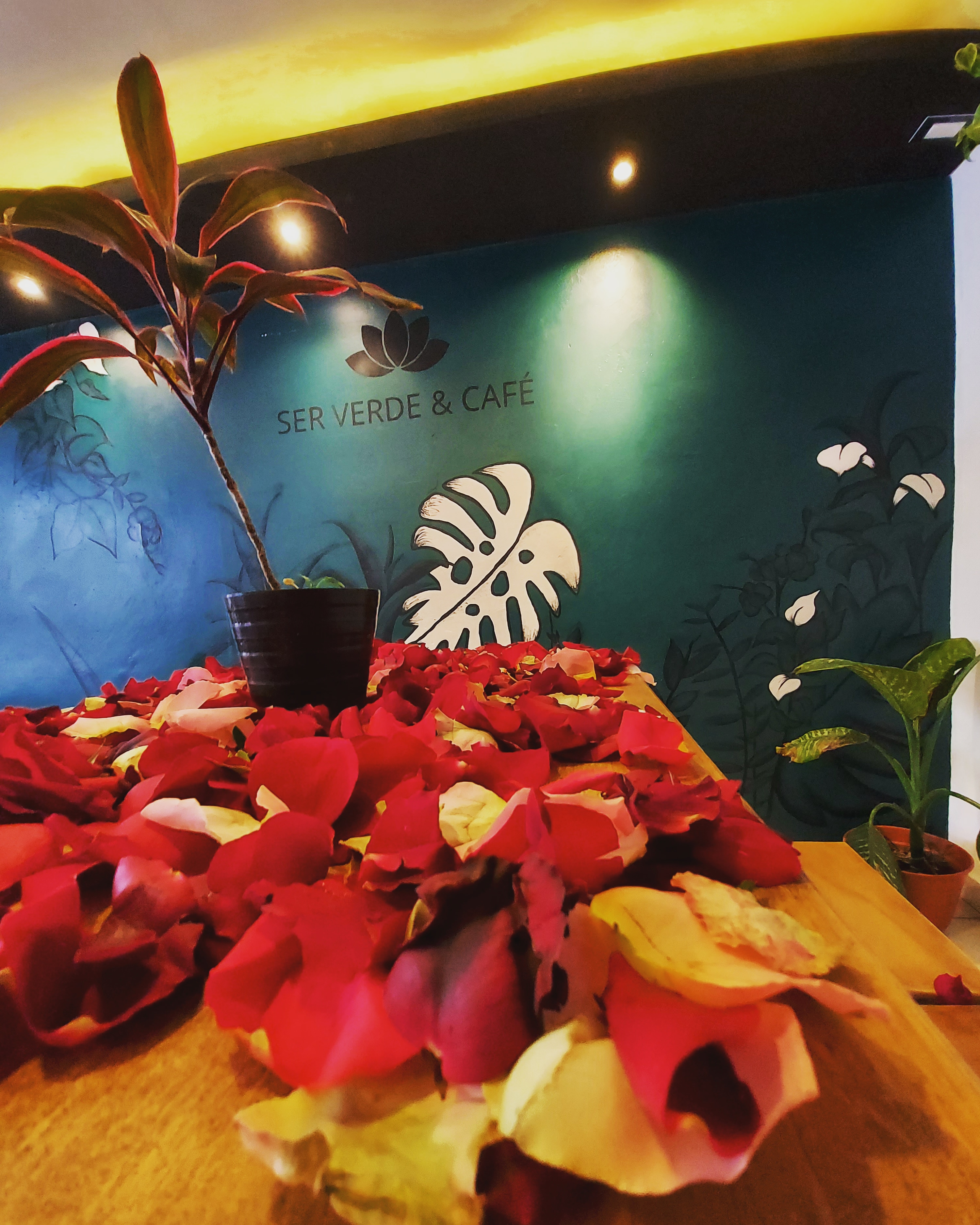 SER VERDE & CAFÉ image 6