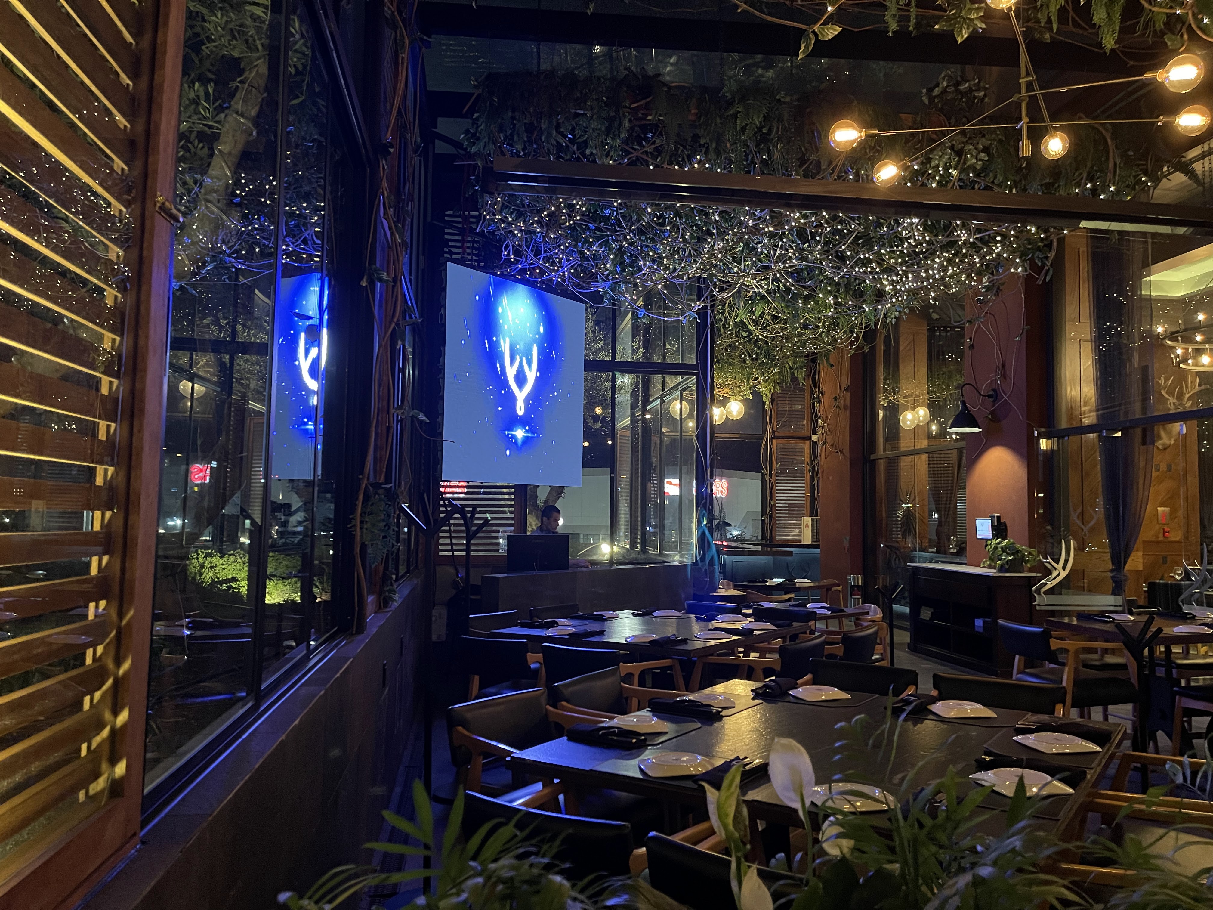 Mochomos San Luis Potosí image 1